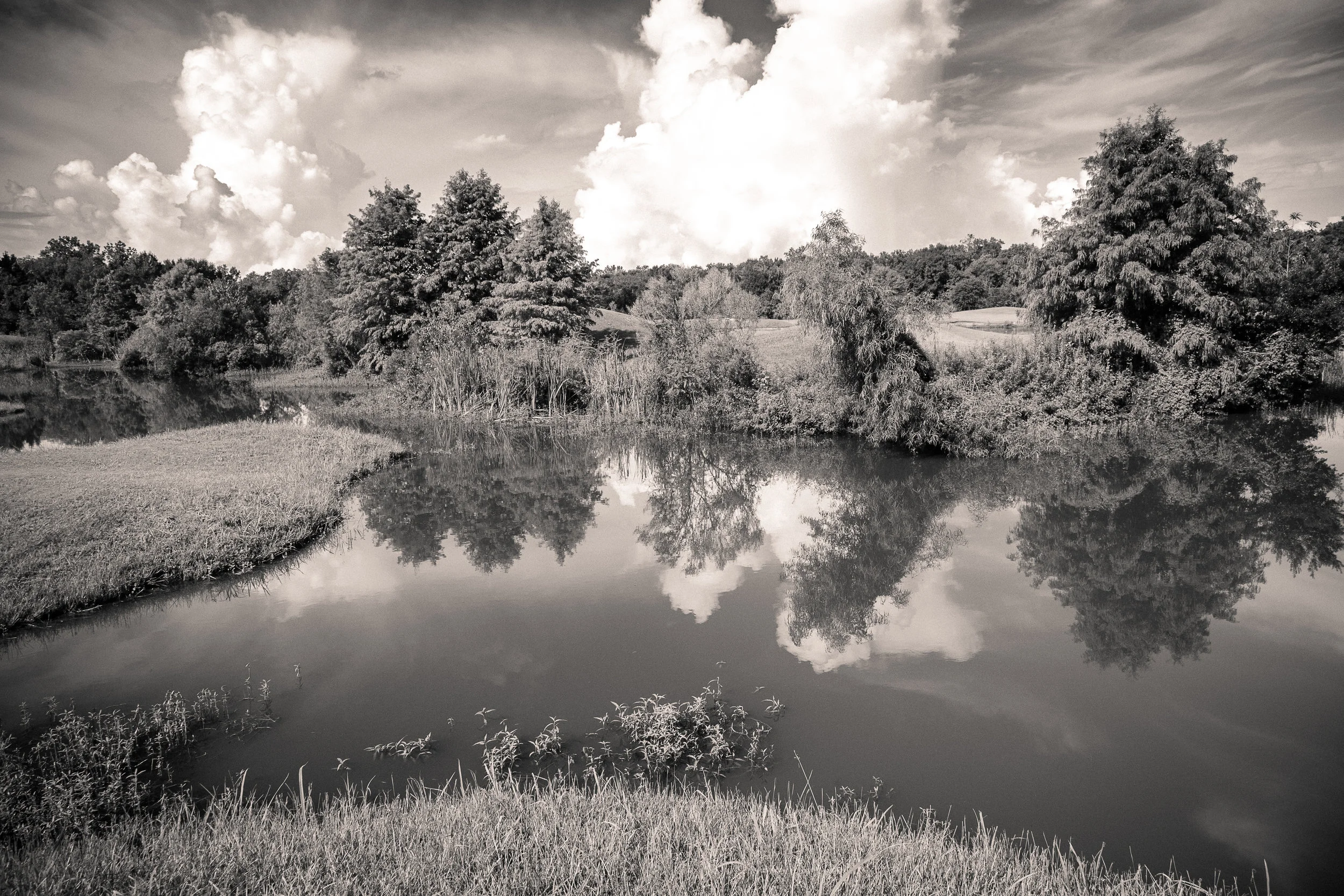 Reflect