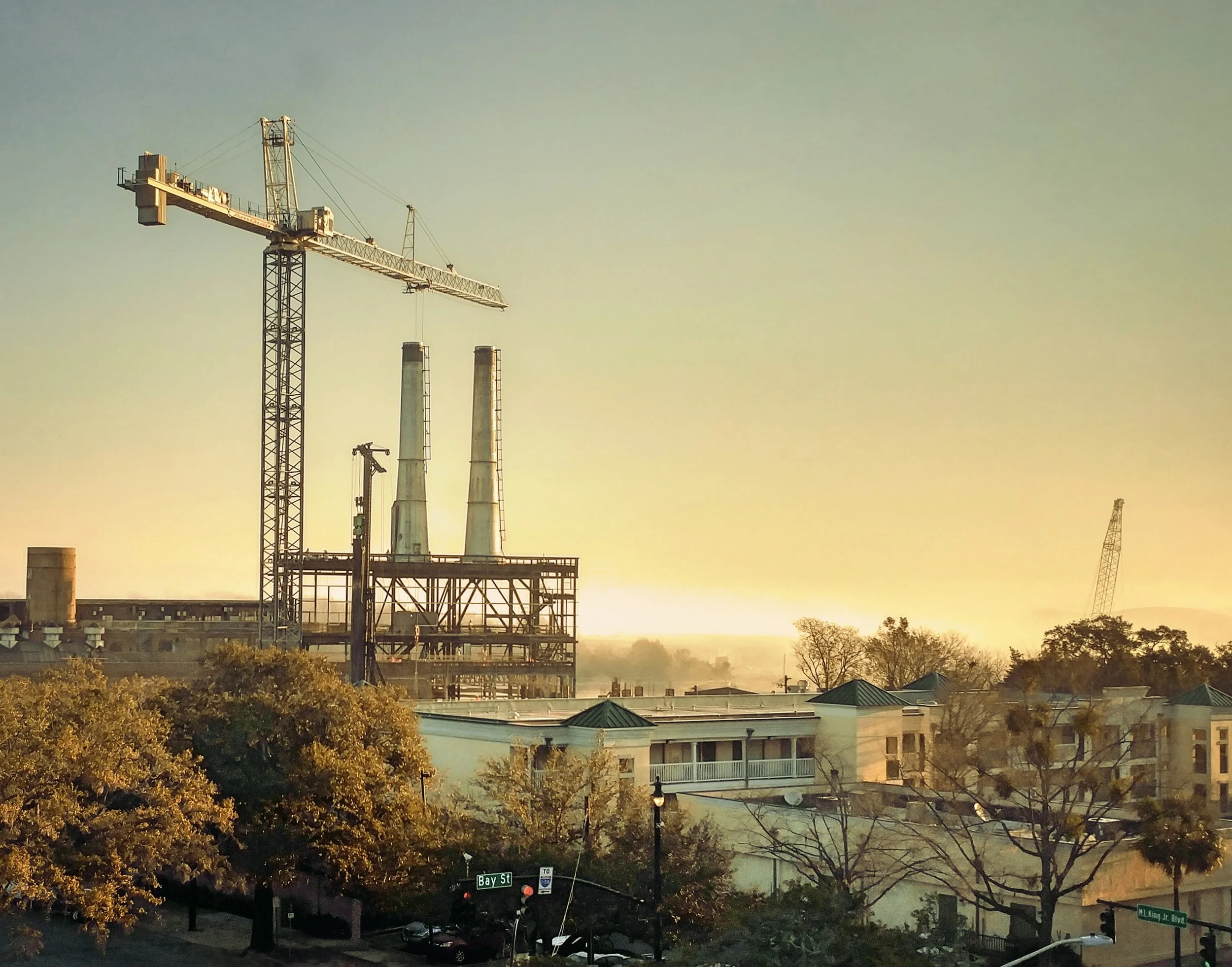 Savannah, Morning
