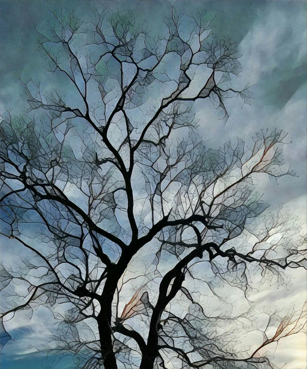 Tree in Winter