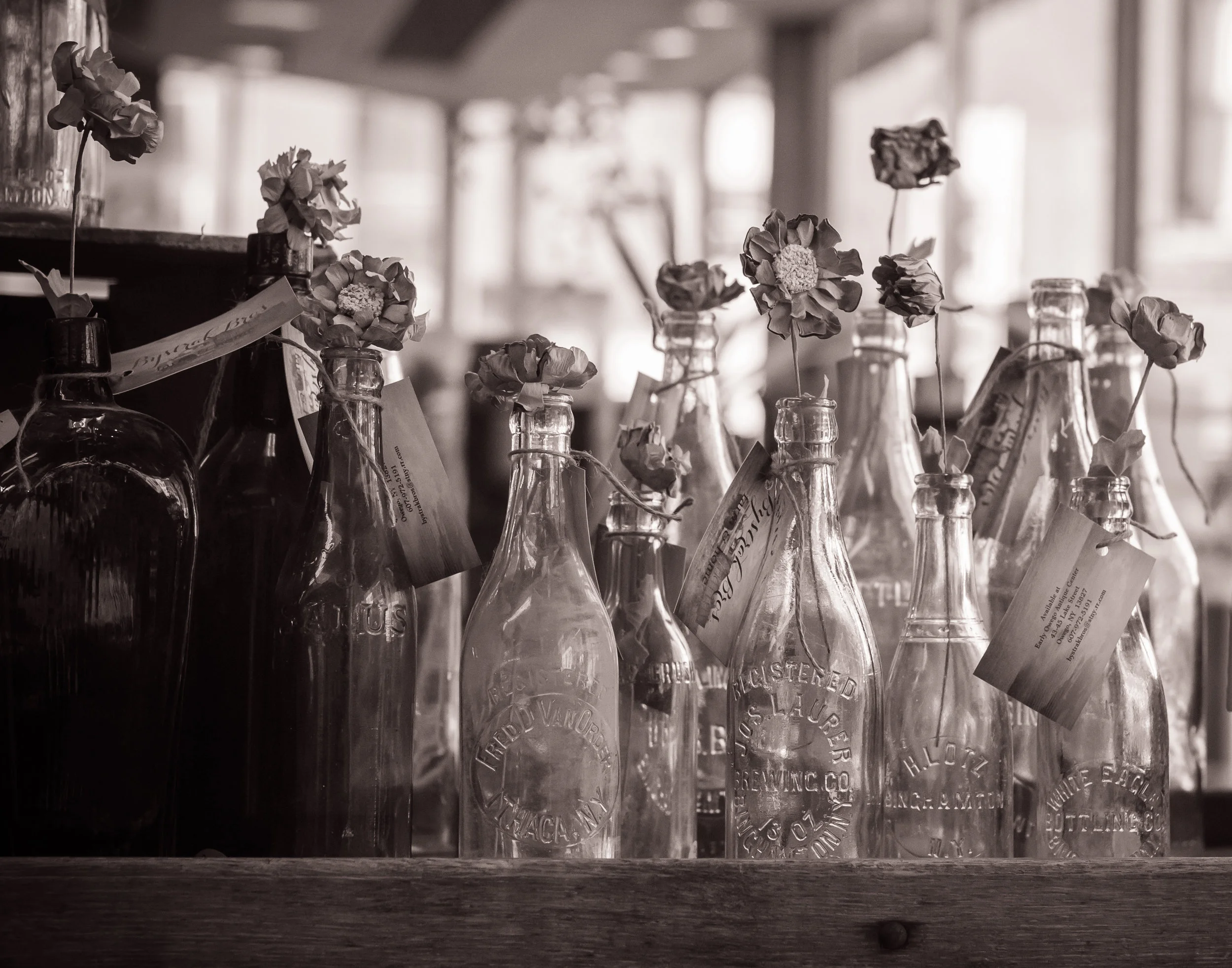 Elegy in Glass
