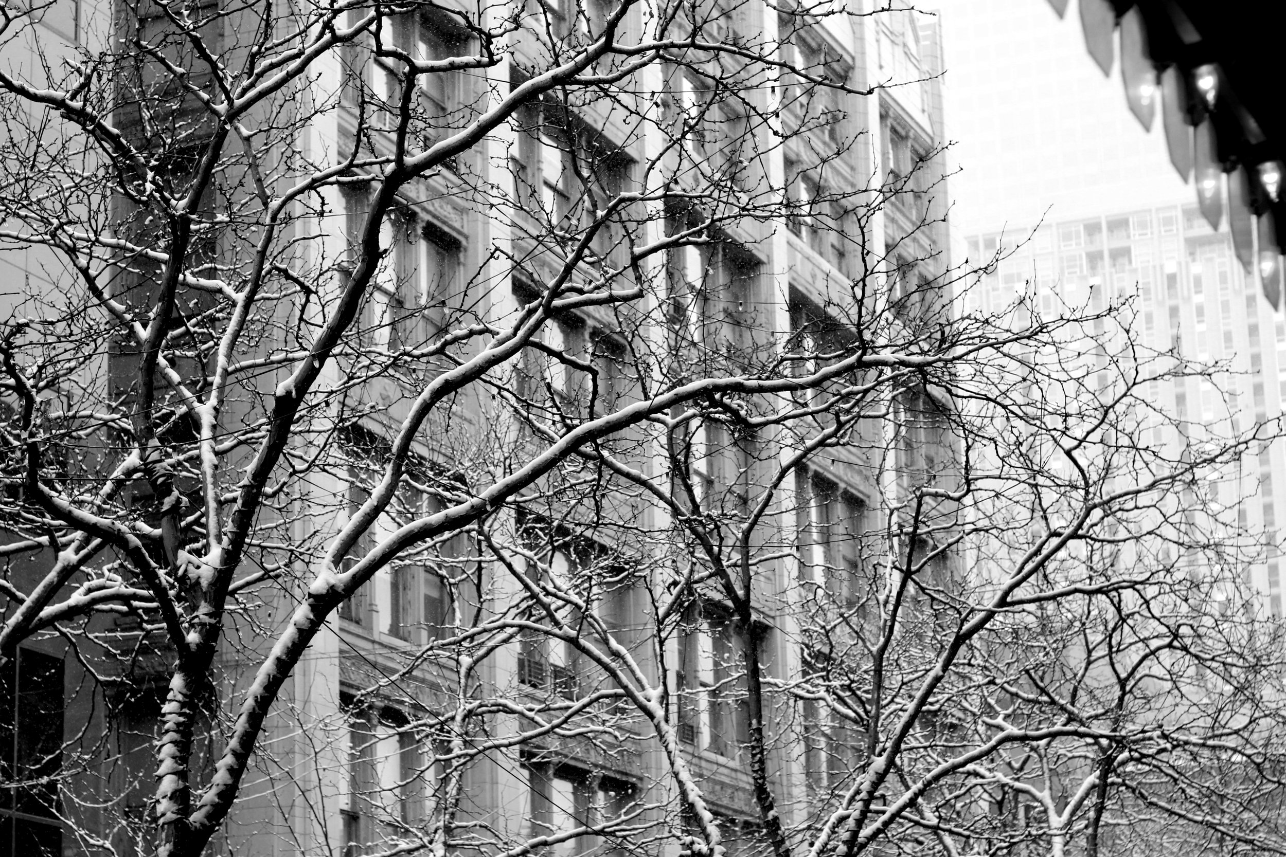 View from Rite Aid Awning