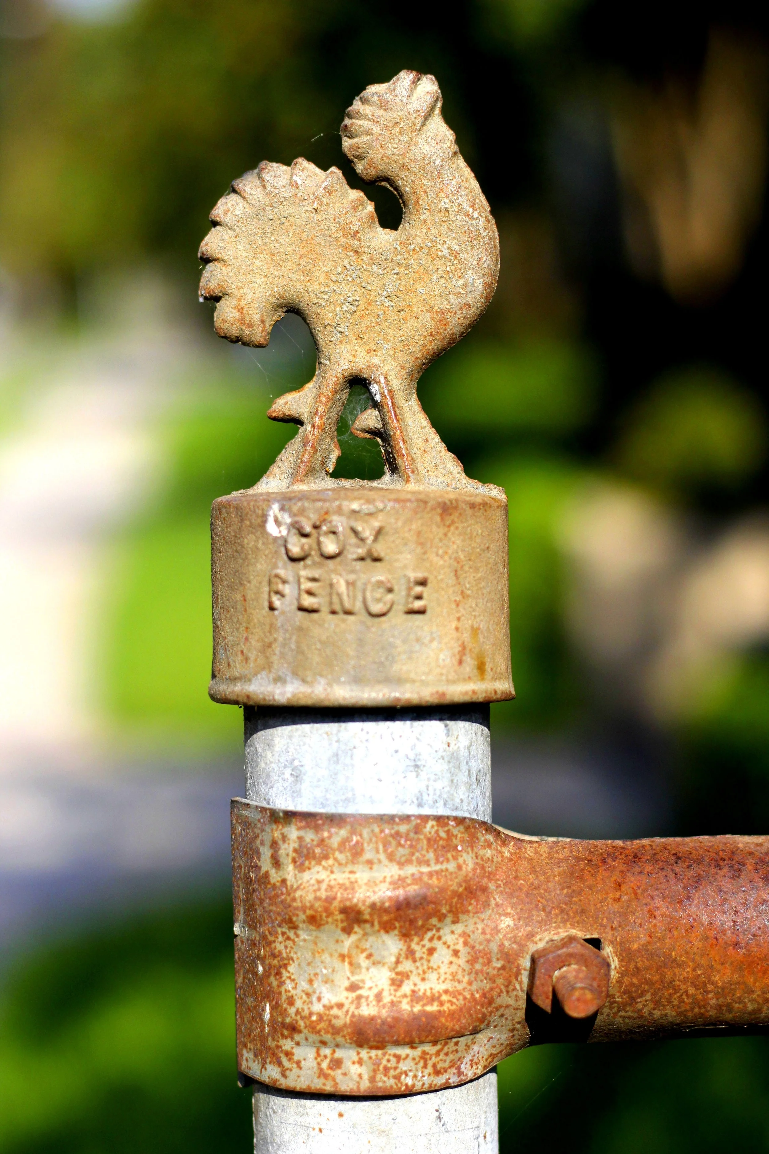 Cox Fence