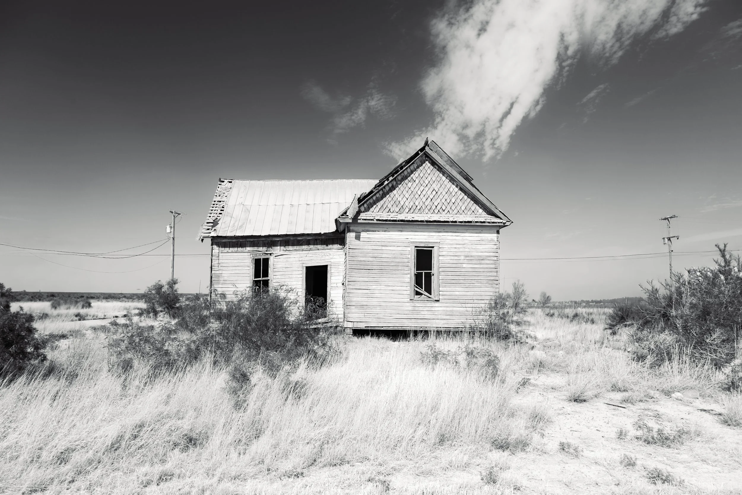 Prairie Wind