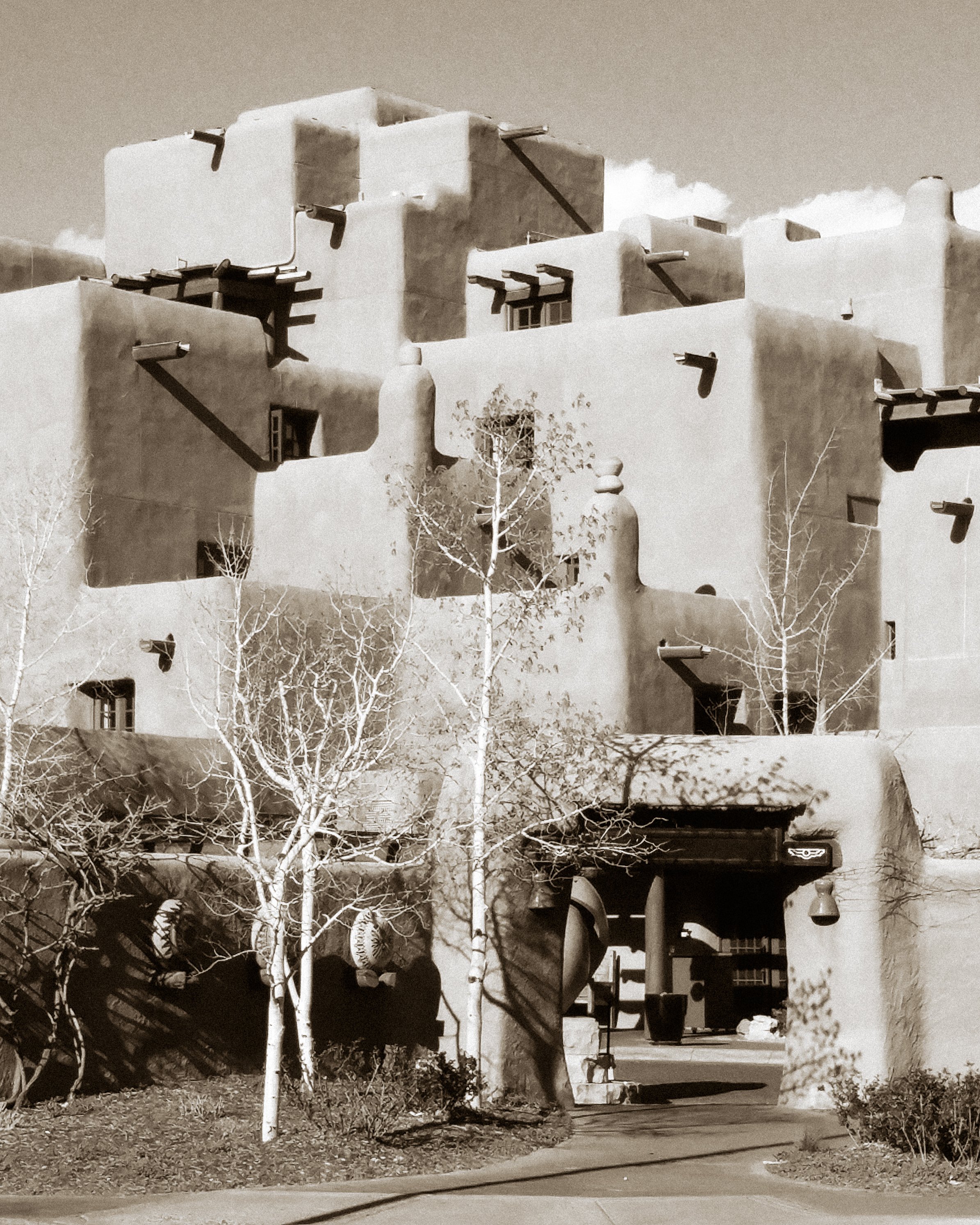 20180408_171439 bw 3.jpg