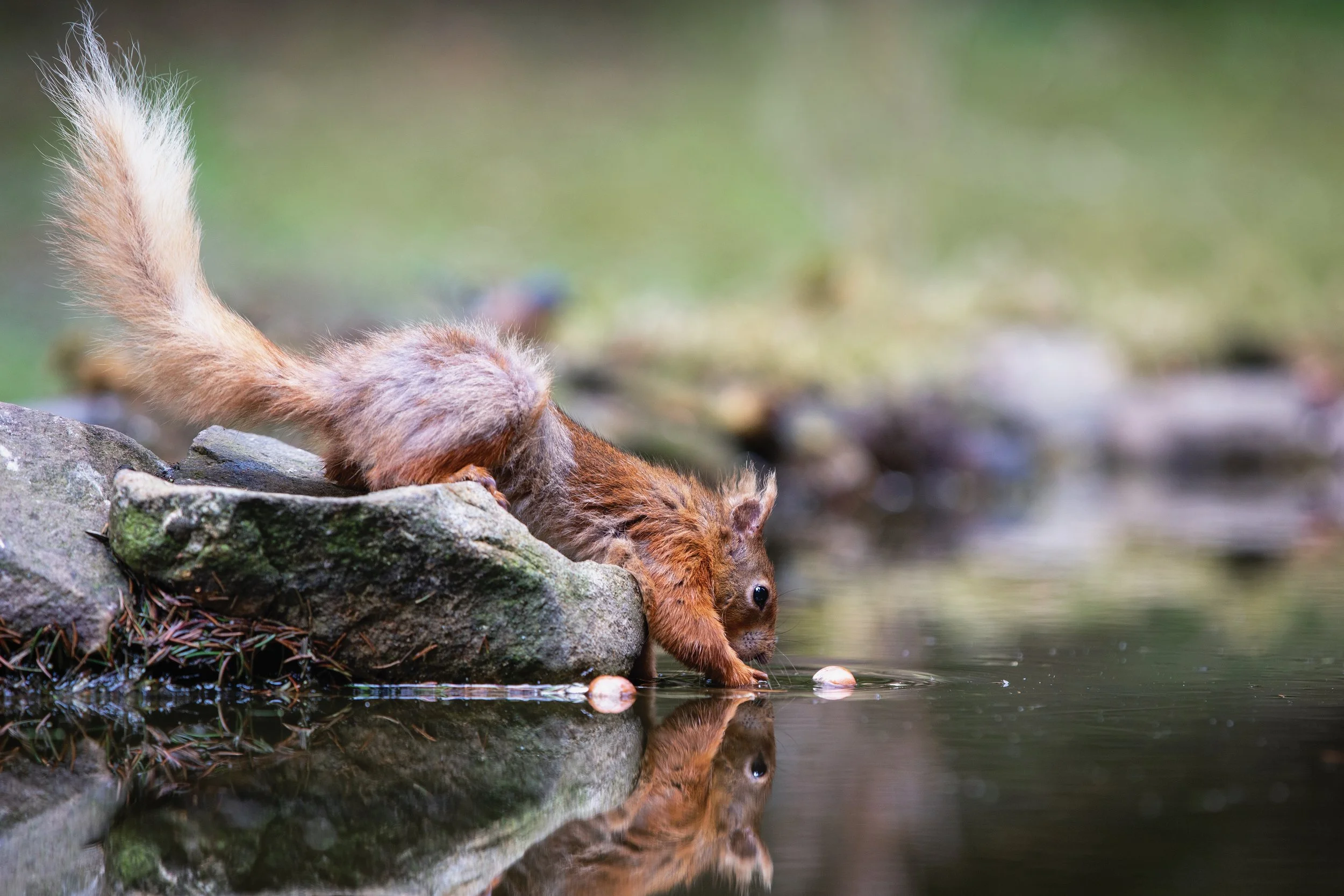 Better Results within Reach