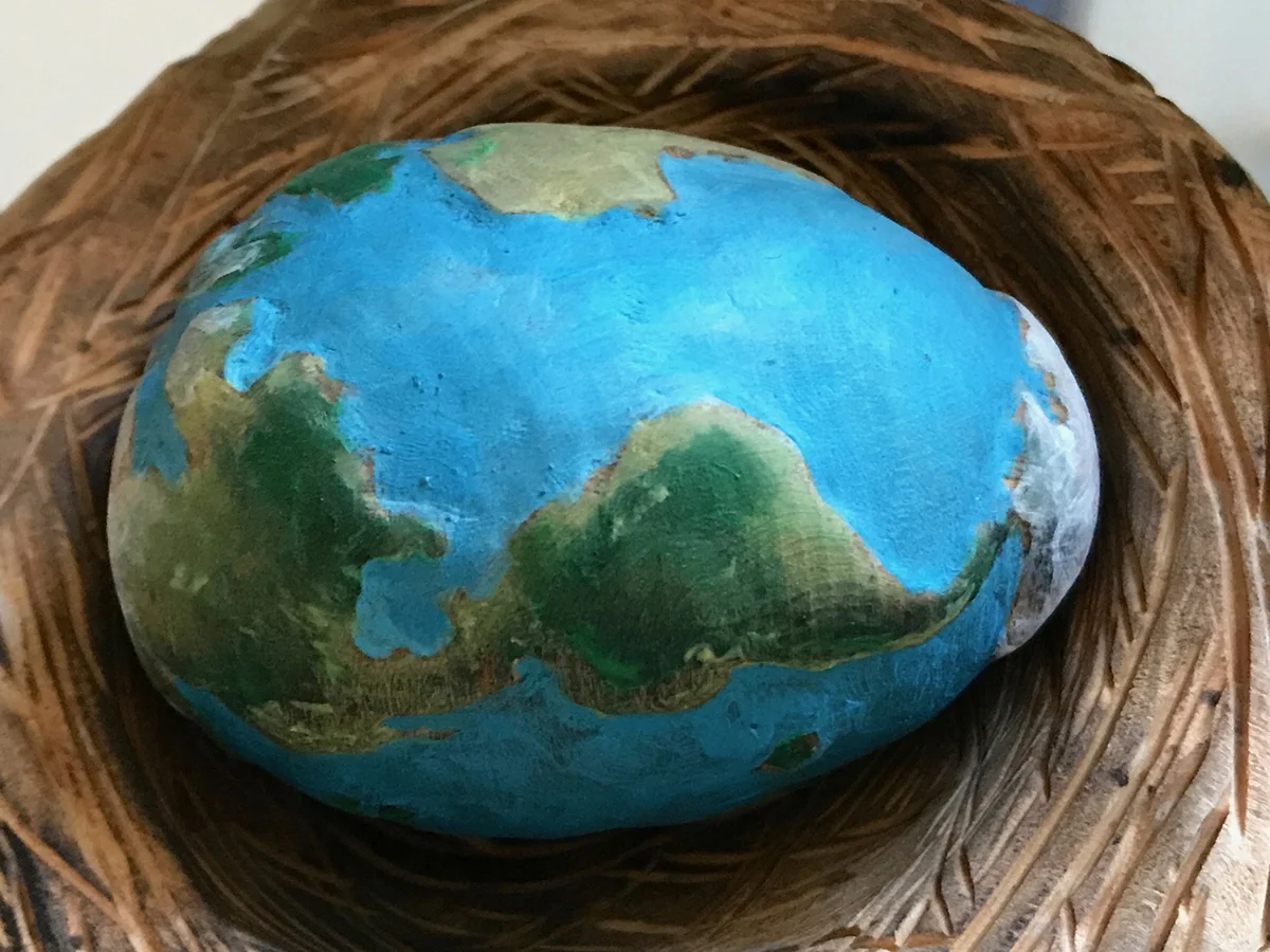Detail of Nest and Egg