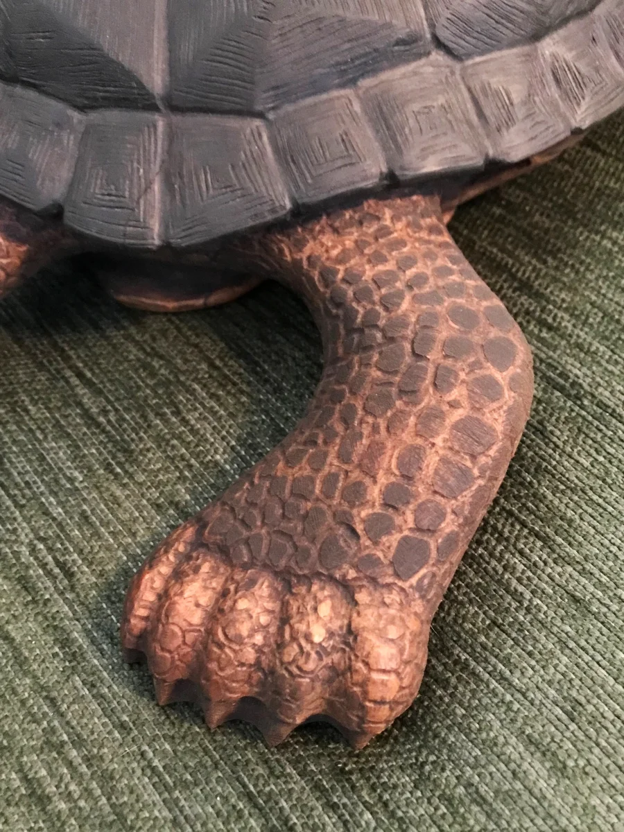 Detail of foot