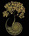Purchase through Harbor Square Gallery