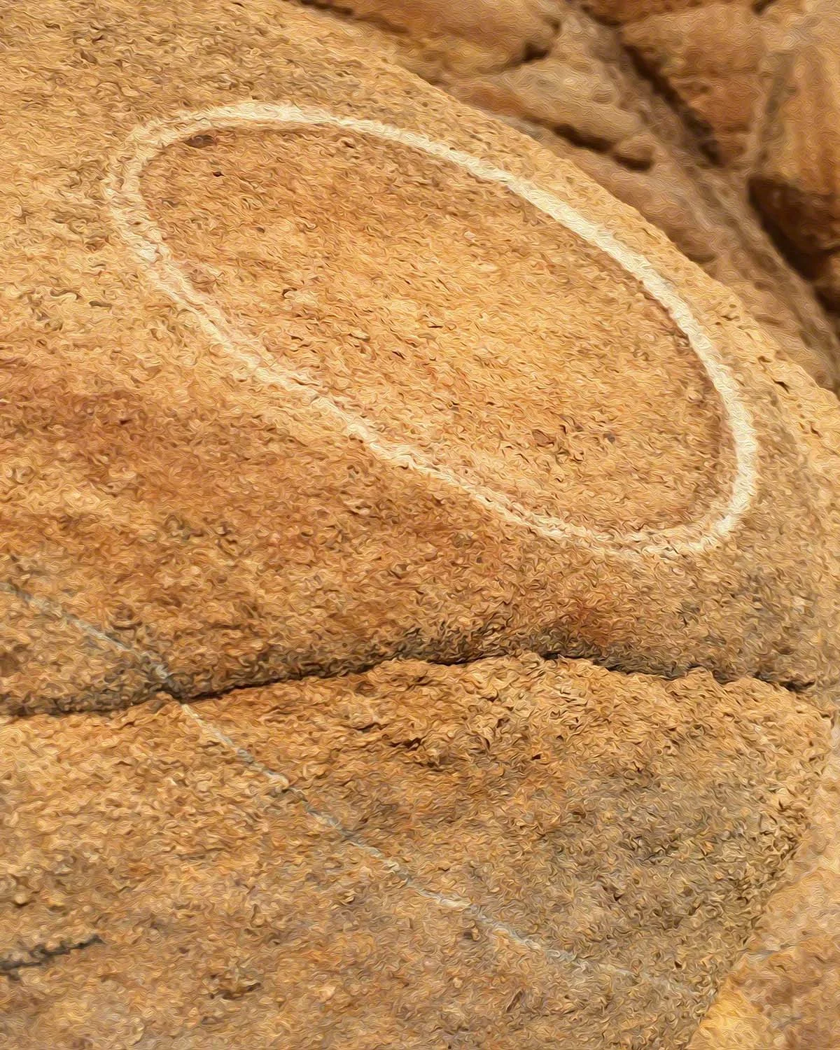 cg_c_ring72.jpg