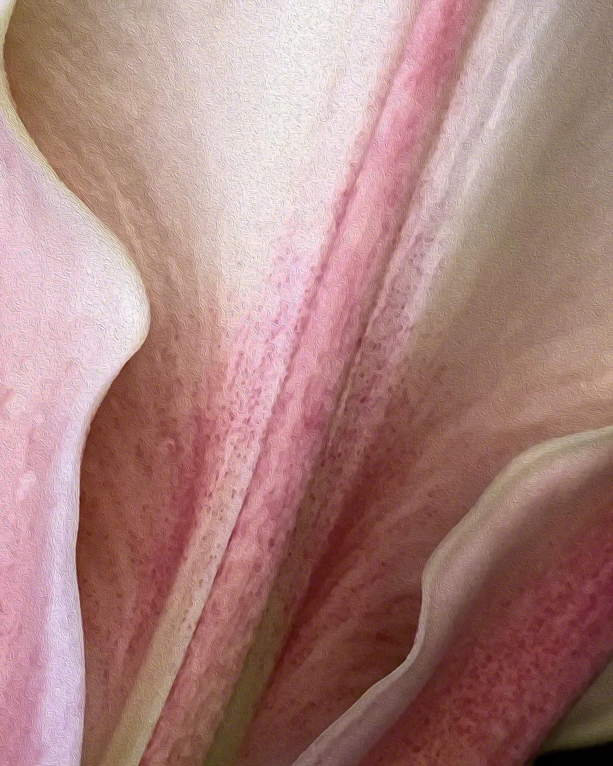 im_c_sensual_forms_72.jpg