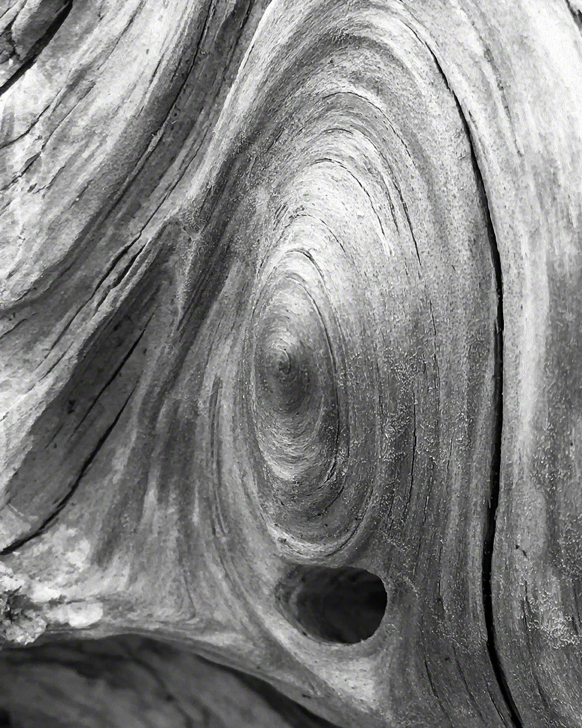 bw_c_attuned_72.jpg