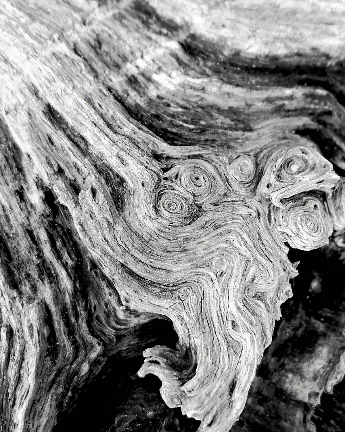 bw_c_thru_time_72.jpg