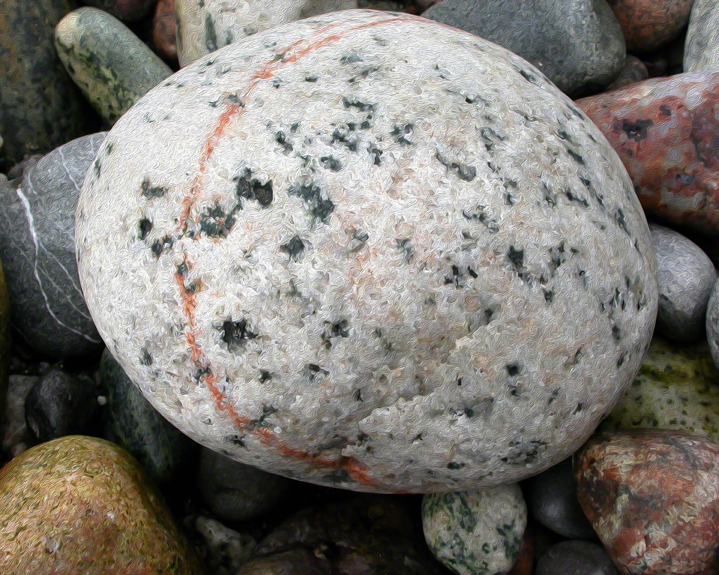 r_c_reddish_round_line_72.jpg