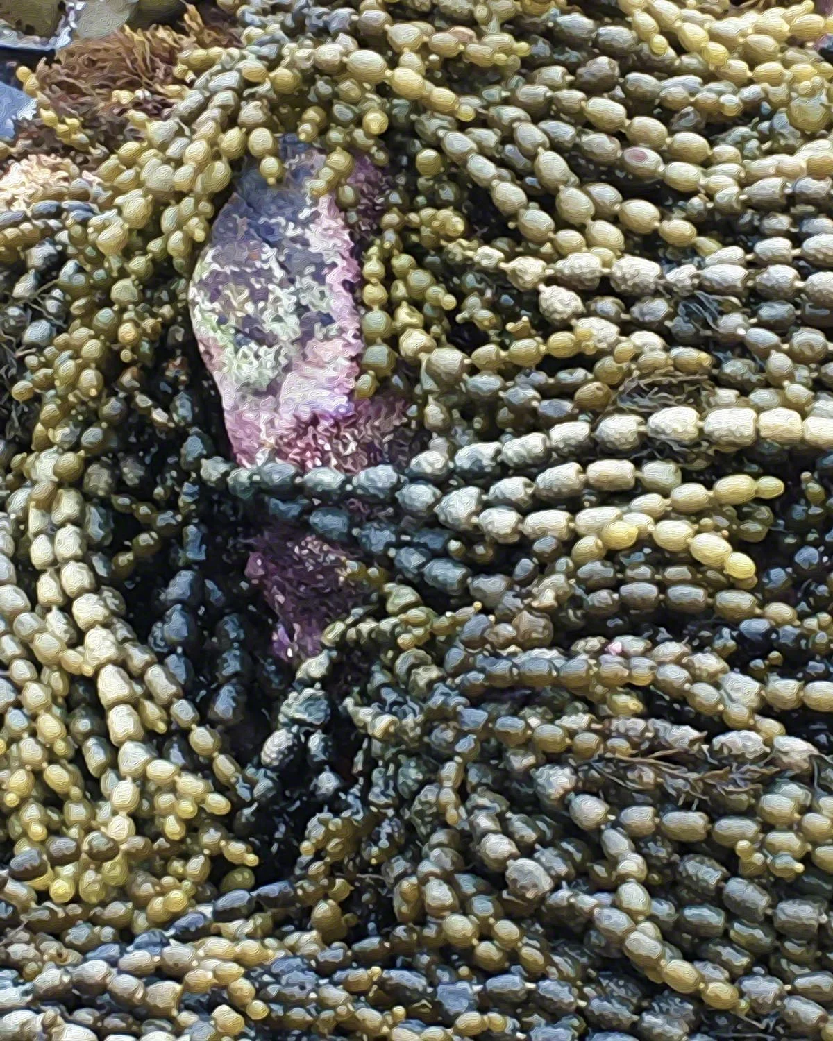 st_c_ocean_beads72.jpg