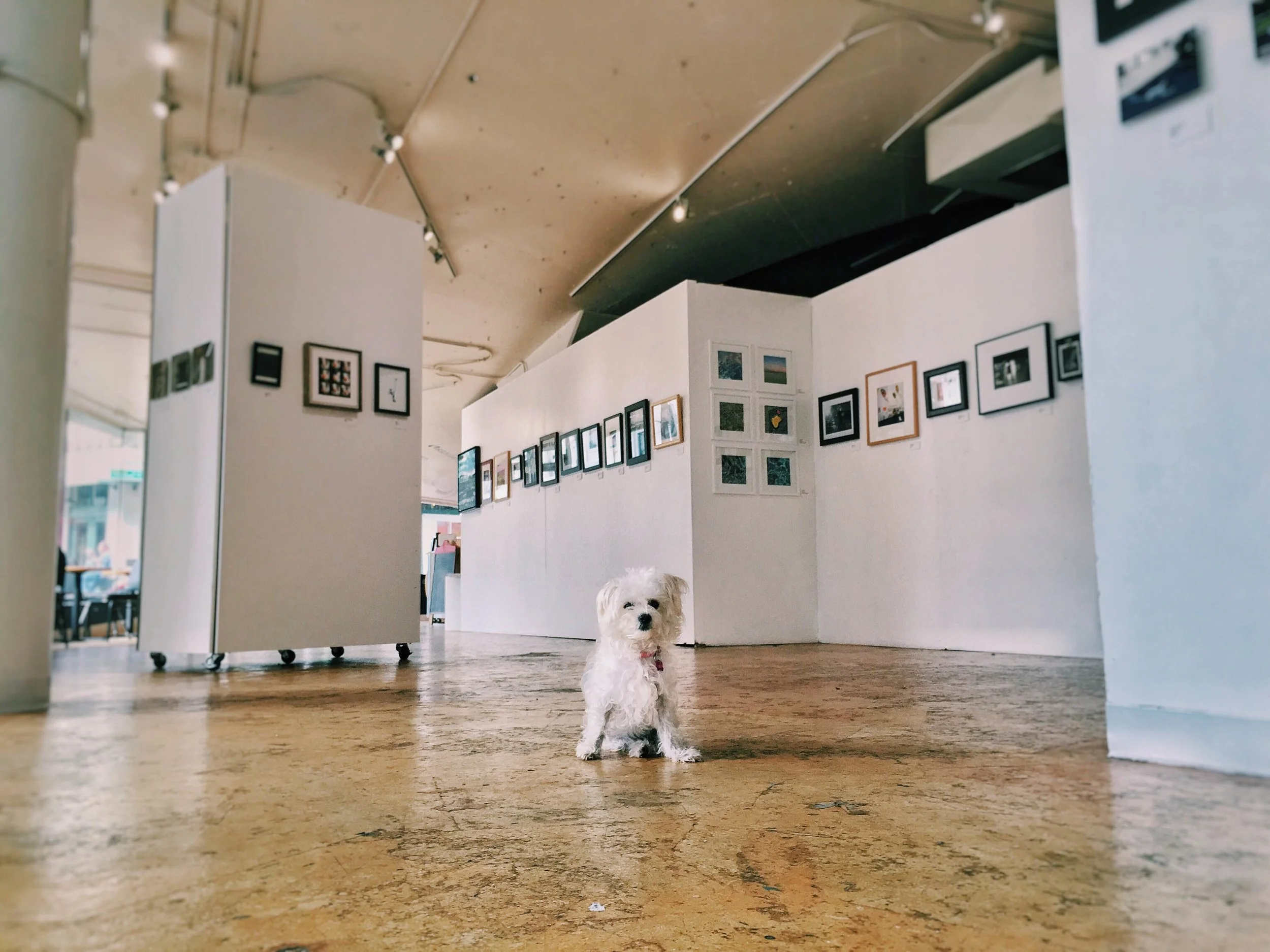 Gallery Installations