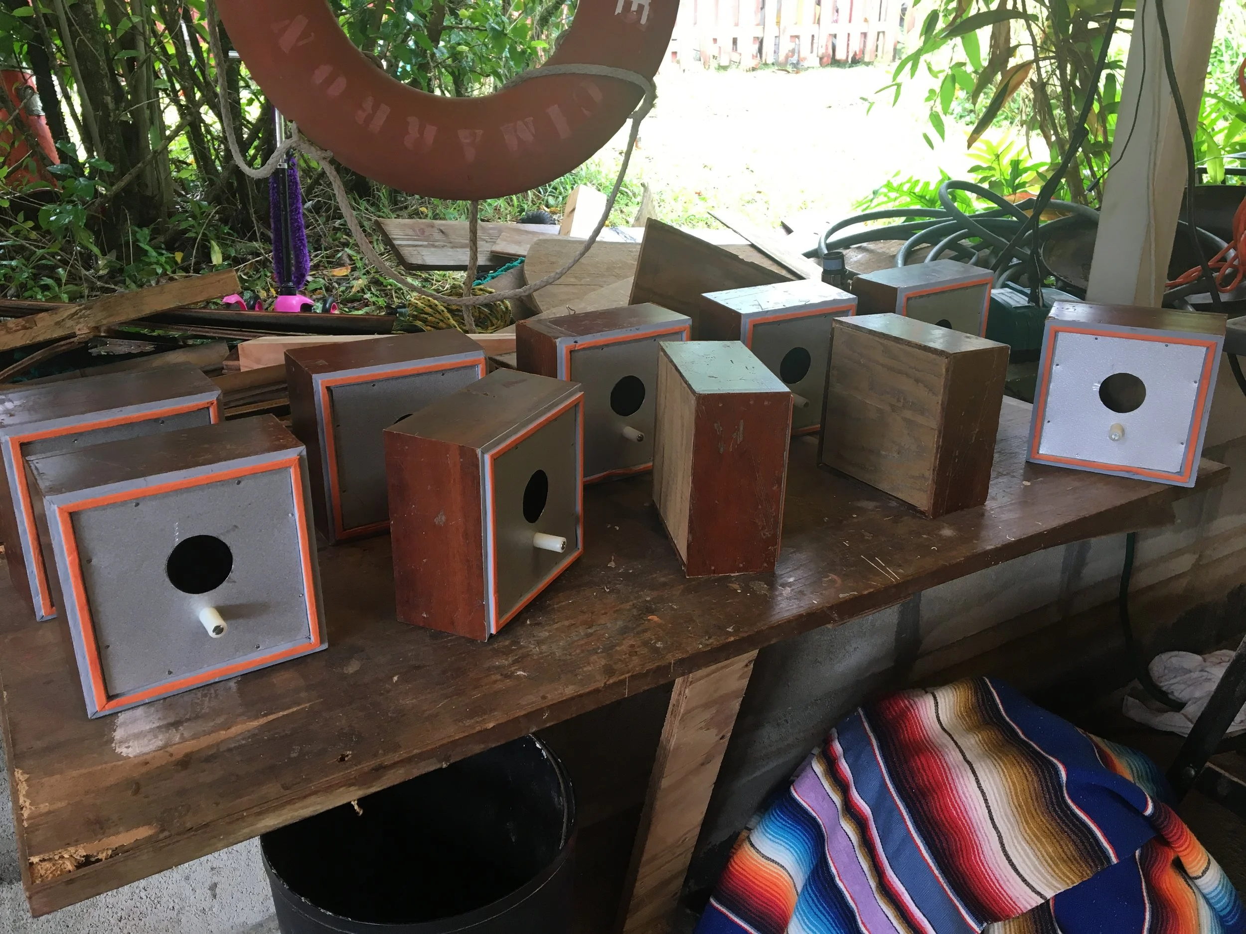  Tiny houses for the birds. 