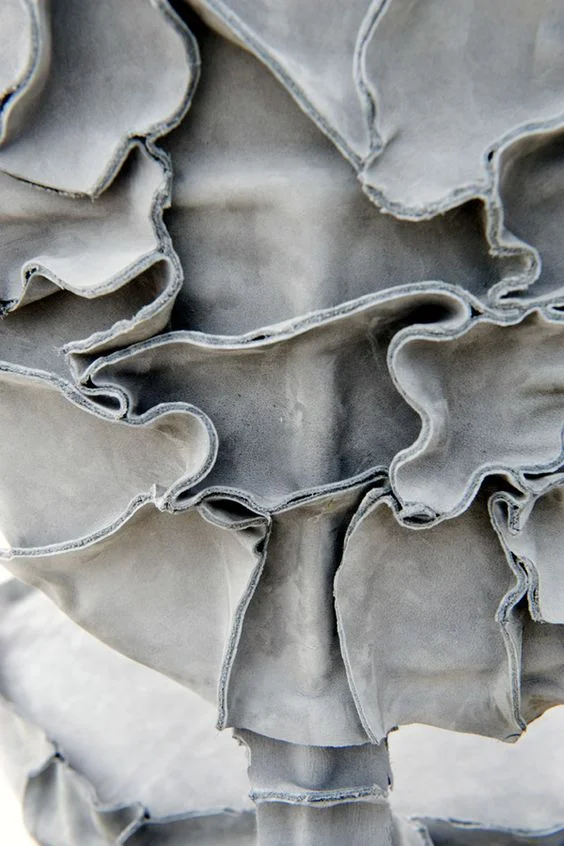 Swanson_Sarah_Inspiration