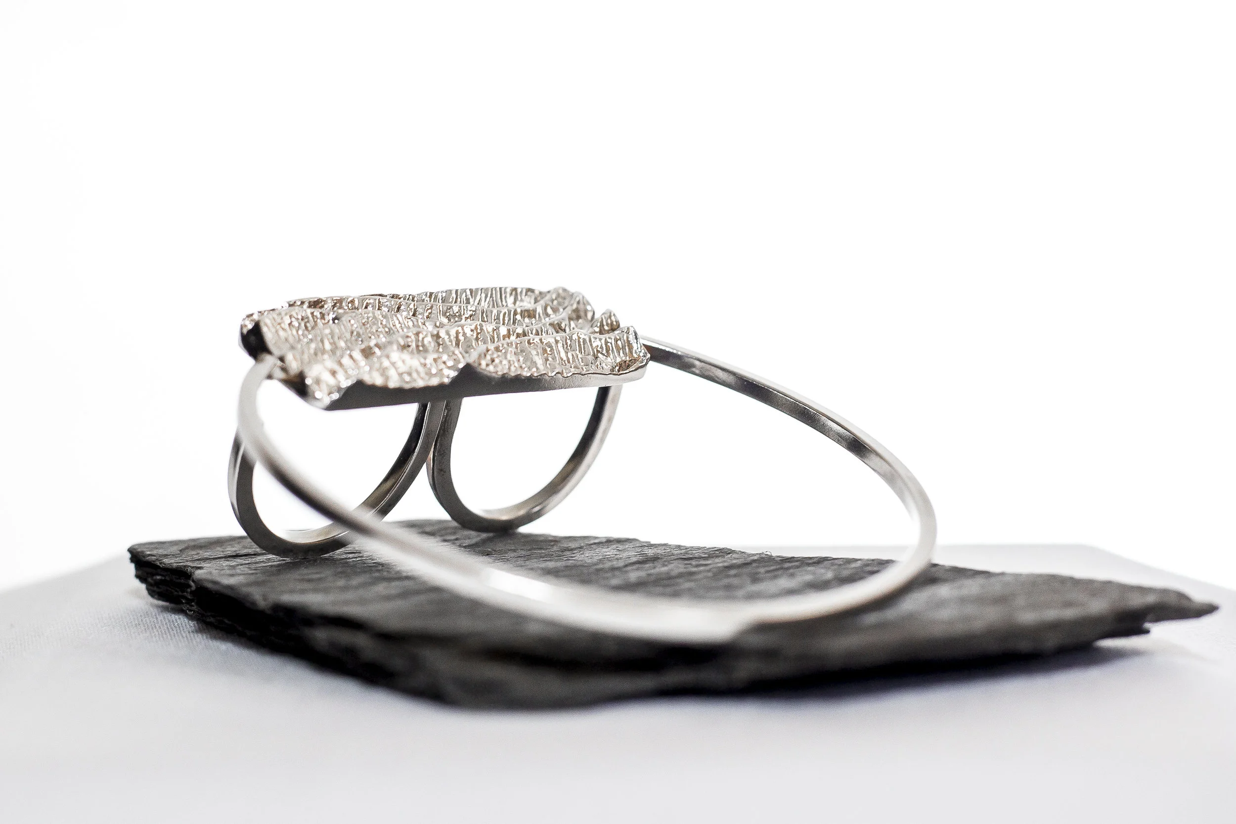 Swanson_Sarah_Alliance