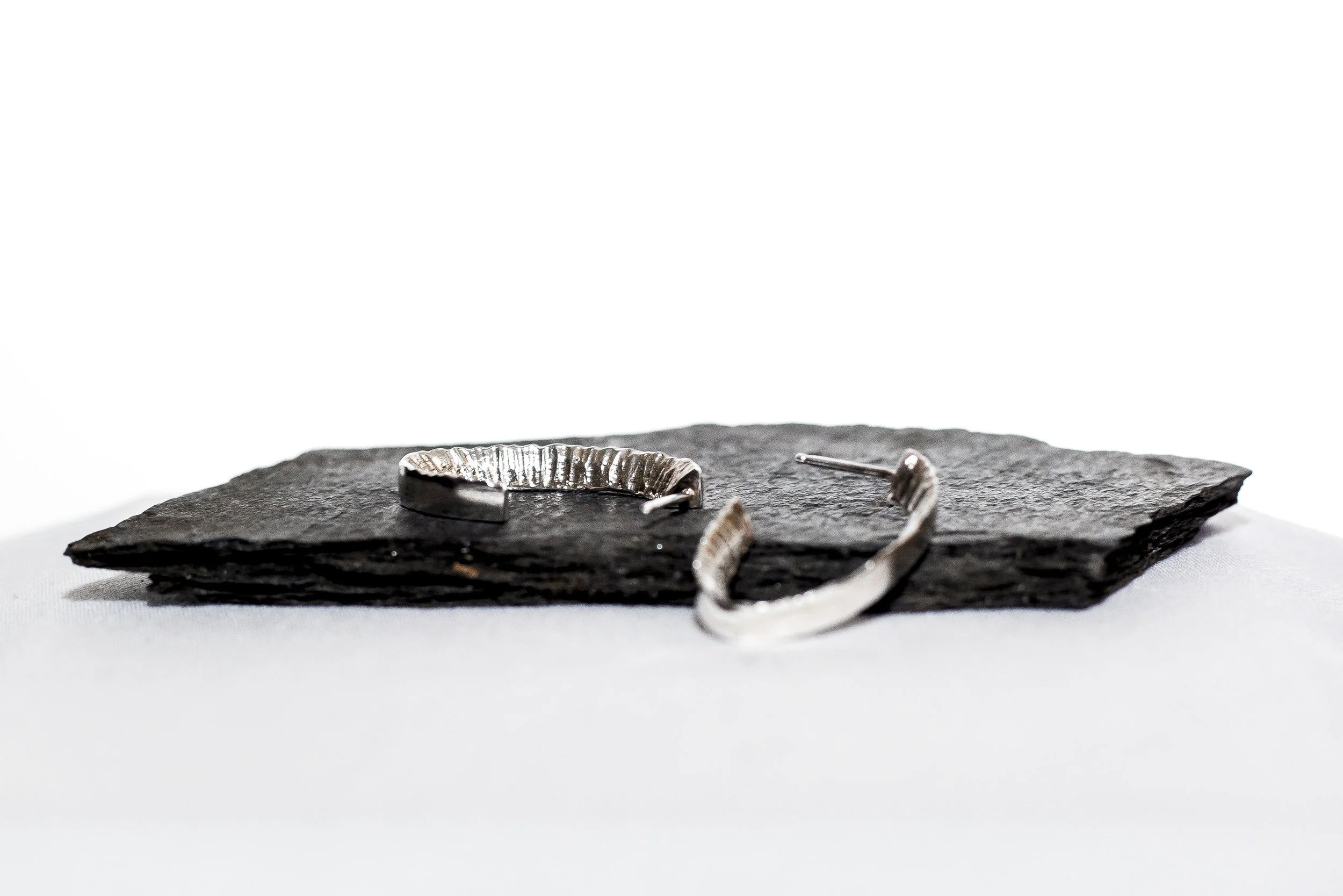 Swanson_Sarah_Alliance