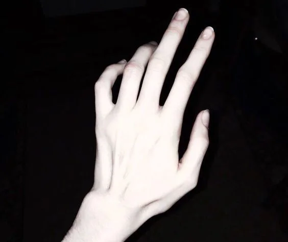 Swanson_Sarah_Inspiration