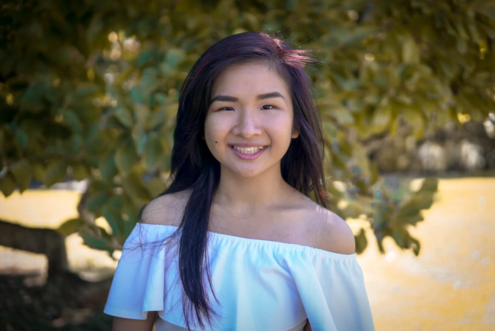 Anne Qi.jpg