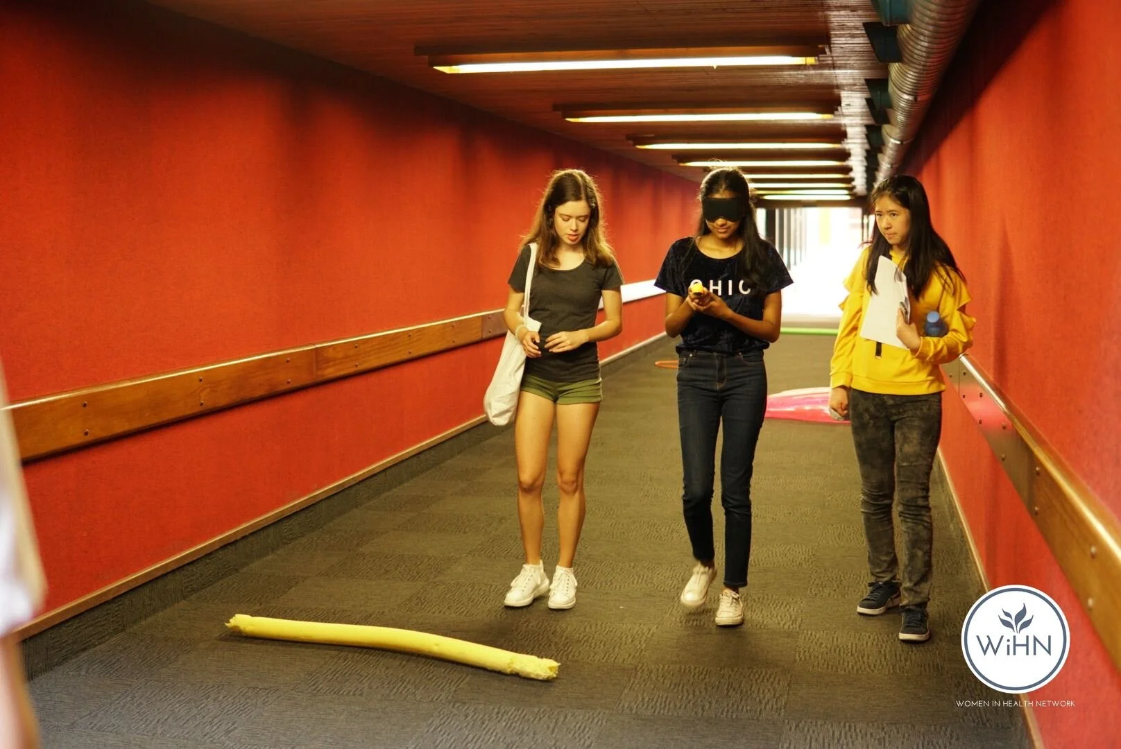 WIHN MENTORING WĀNANGA 2019