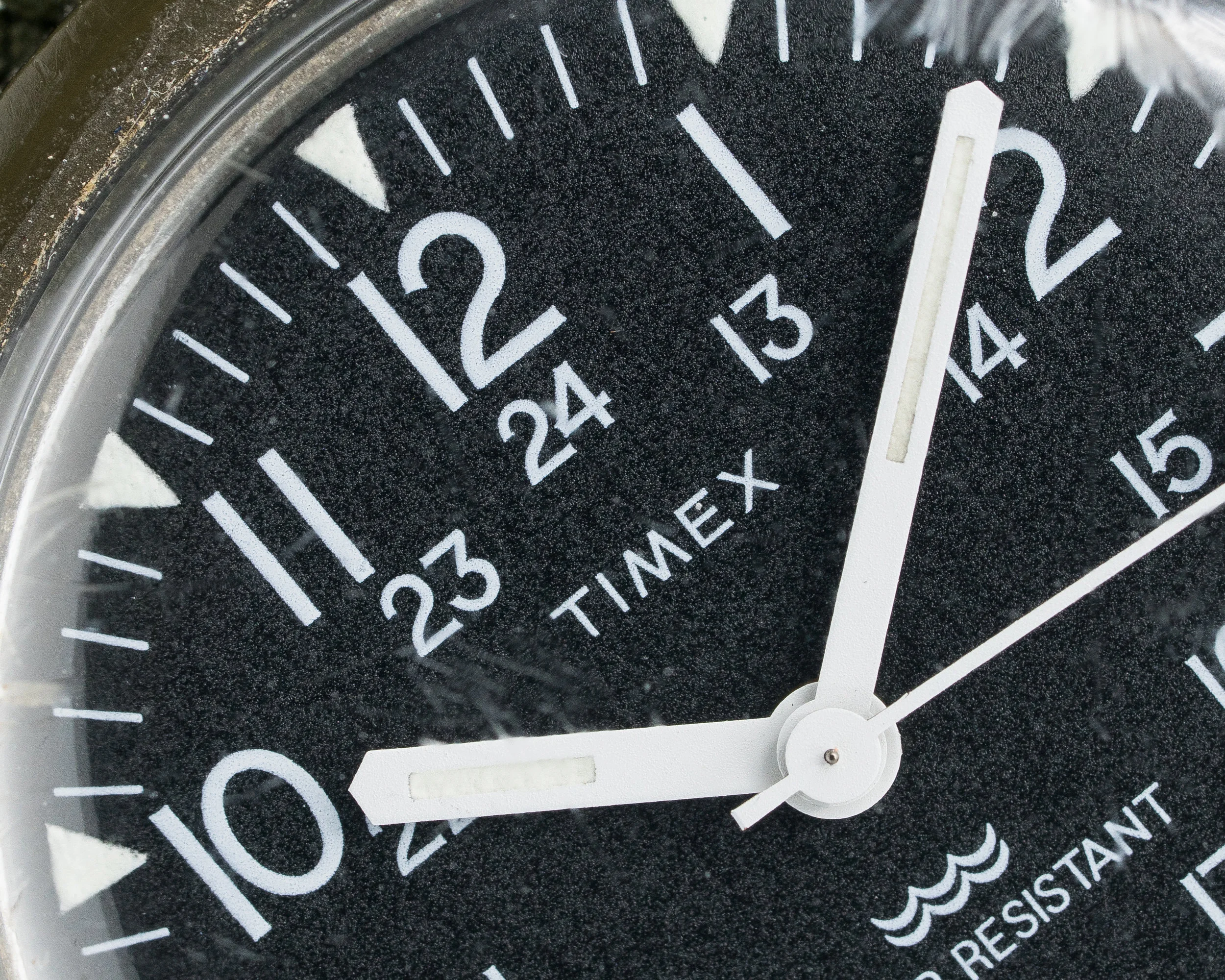 Timex Camper