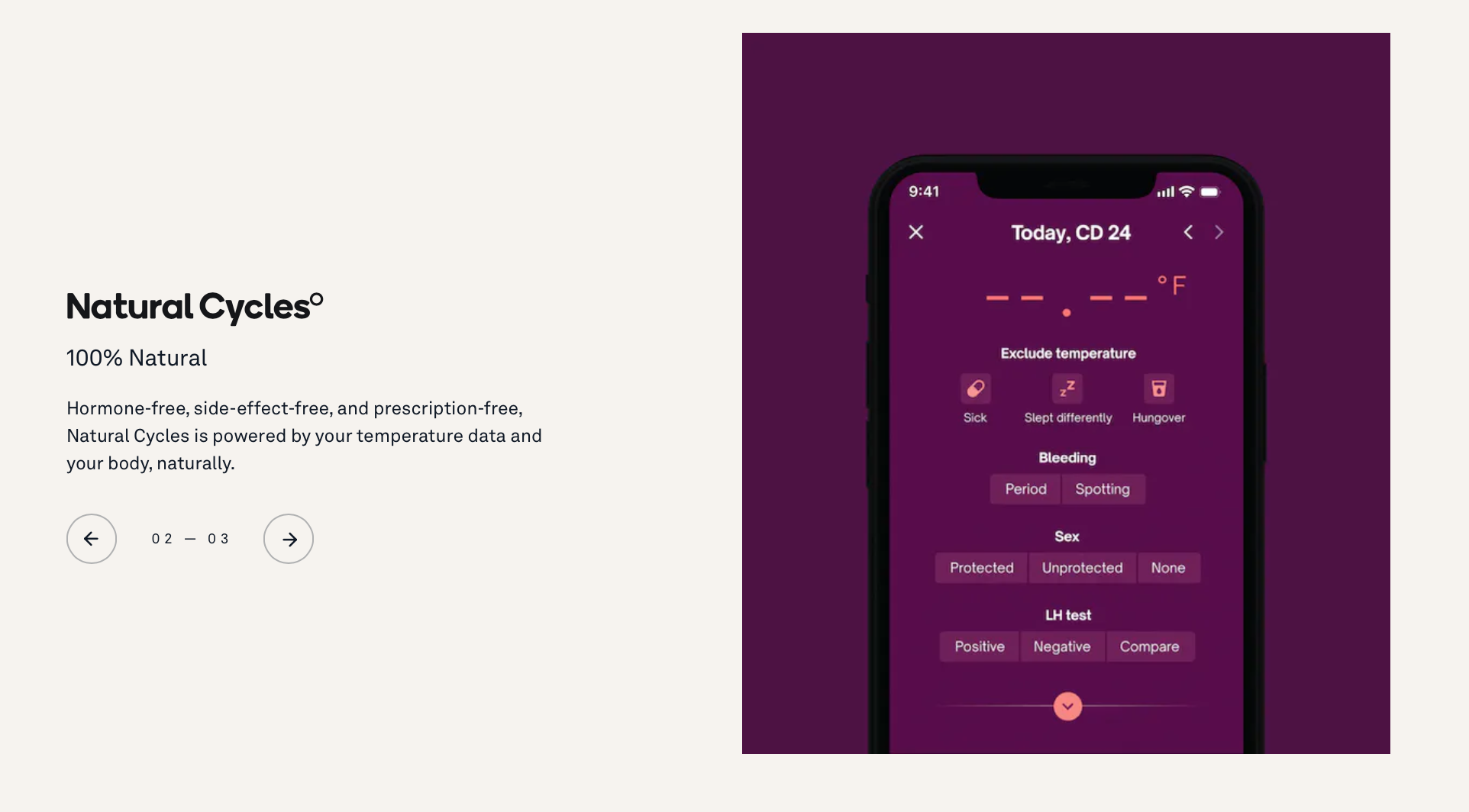 Screen Shot 2023-09-03 at 1.06.49 AM.png