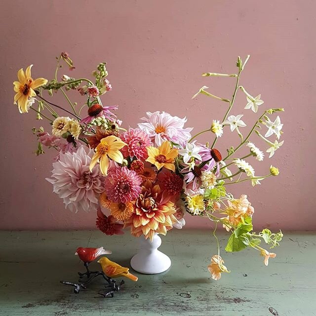 Something to look forward to, arranging home grown dahlias. Do you grow your own? They are easy to grow and fab for arranging. Learn to make these with Finding Flowers -book, link in my profile 🌼
.
Onneksi on jotain mukavaa, mit&auml; voi odotella, 