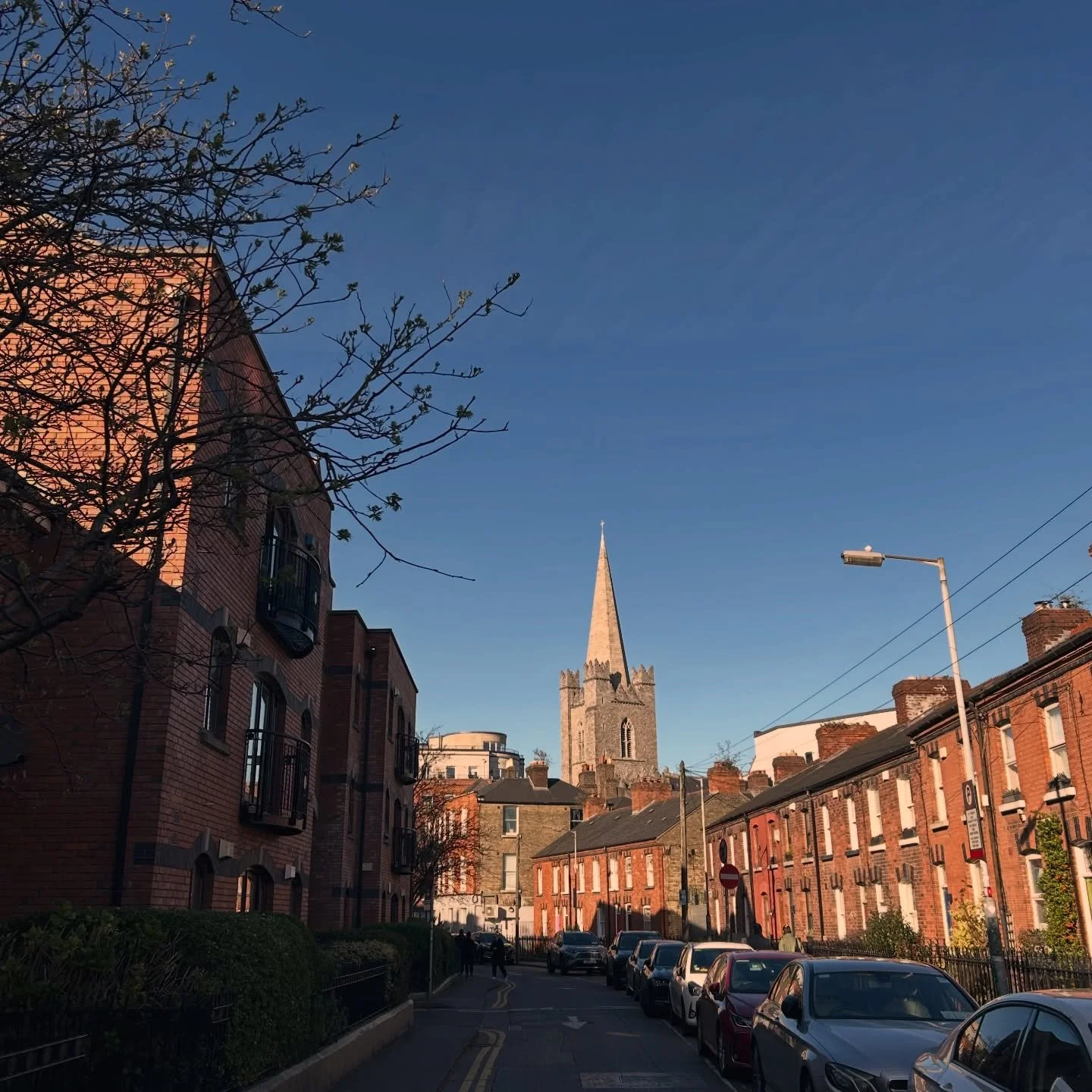 Definitely posted one of these before but hey.
@stpatrickscathedraldublin 
#liberties
#dublin8
