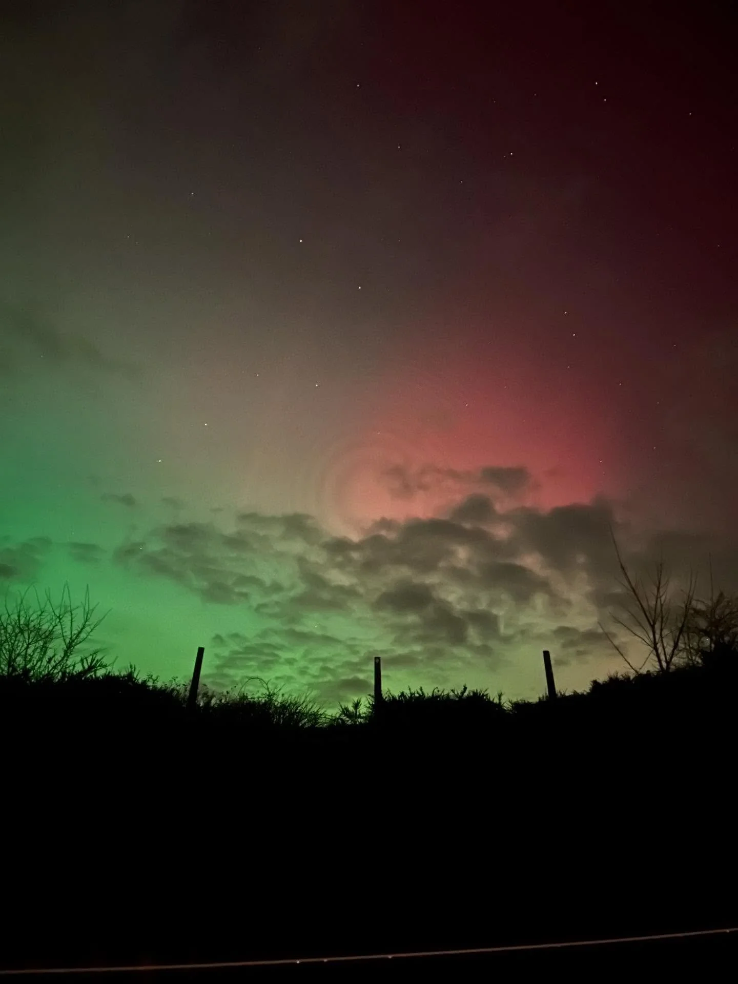I haven&rsquo;t seen the northern lights since I was 17 in Derry, one night out for a walk. Hello again.
#auroraborealis