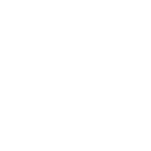 dynamik_logo_vulcan.png