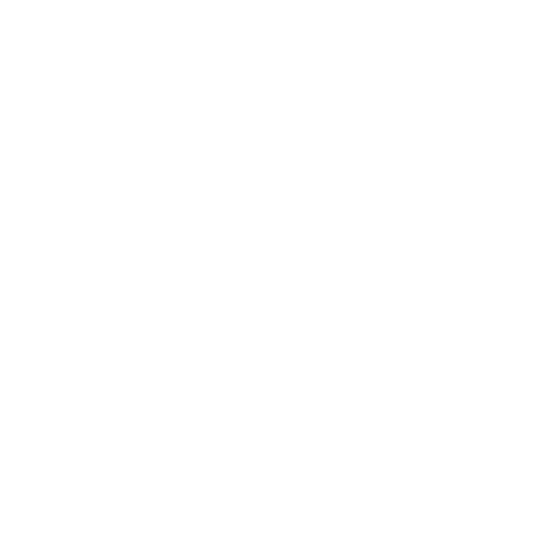 dynamik_logo_stanford.png