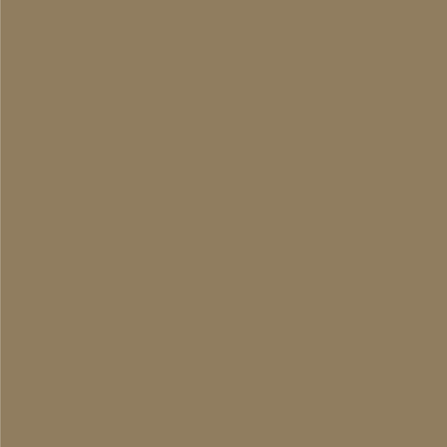 Color BG-03.png