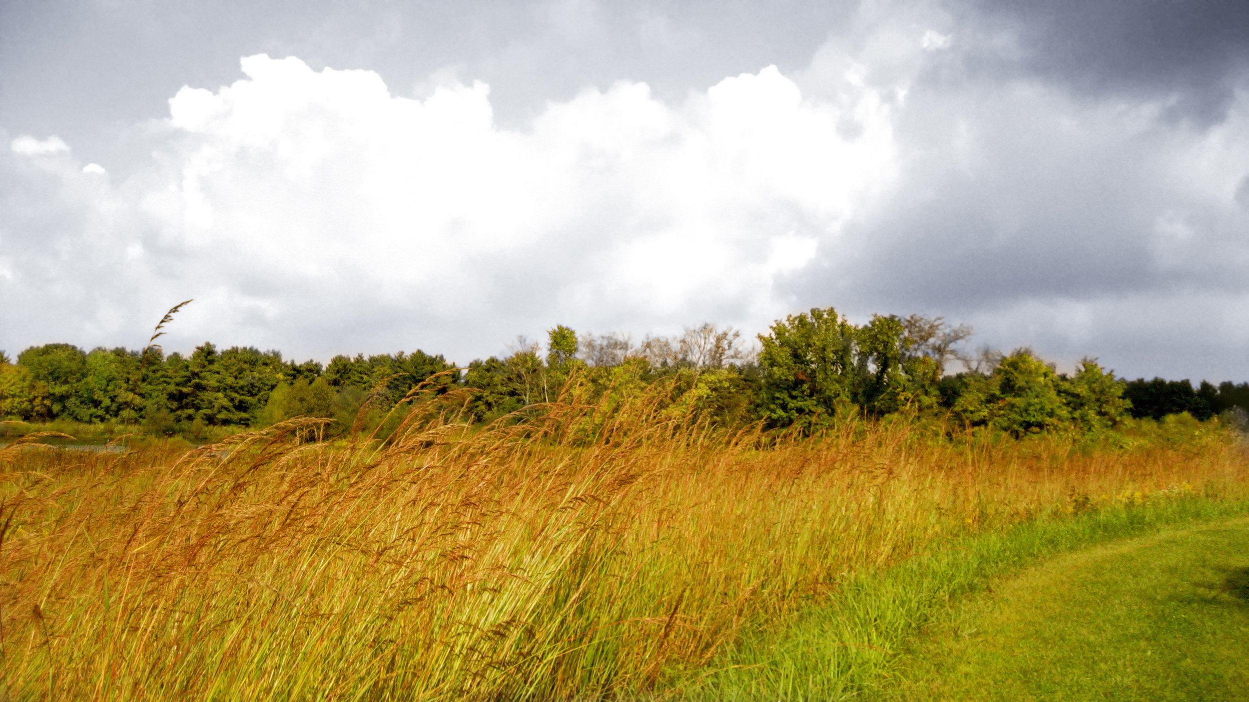 SLR_Kokomo Trail in September_SC.jpg