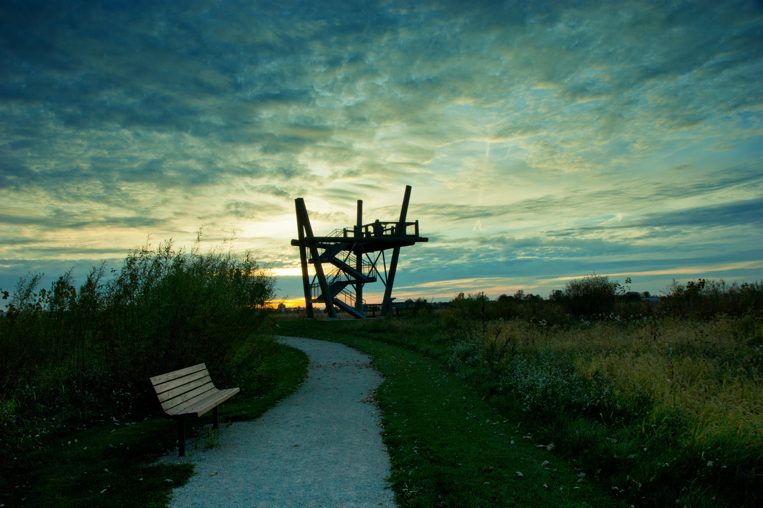 GLR_observation tower at wetlands_RR.jpg