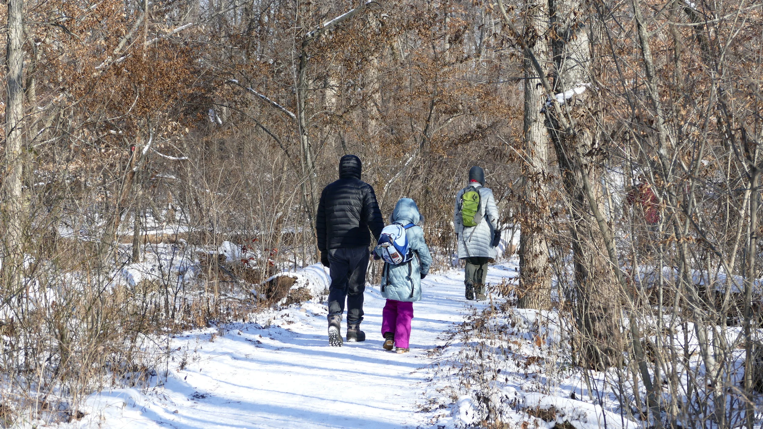Winter Hike Series: Sharon Woods *Dog Friendly*