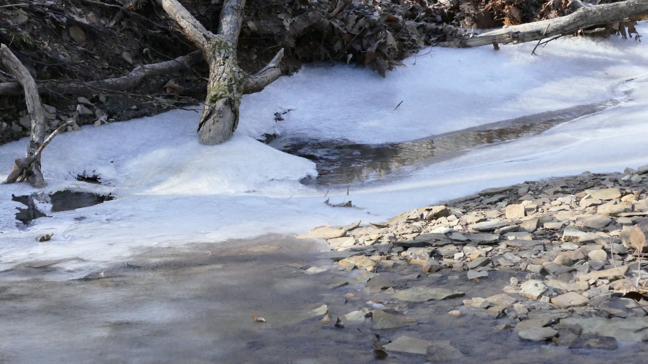 Winter Hike Series: Scioto Grove *Dog Friendly*