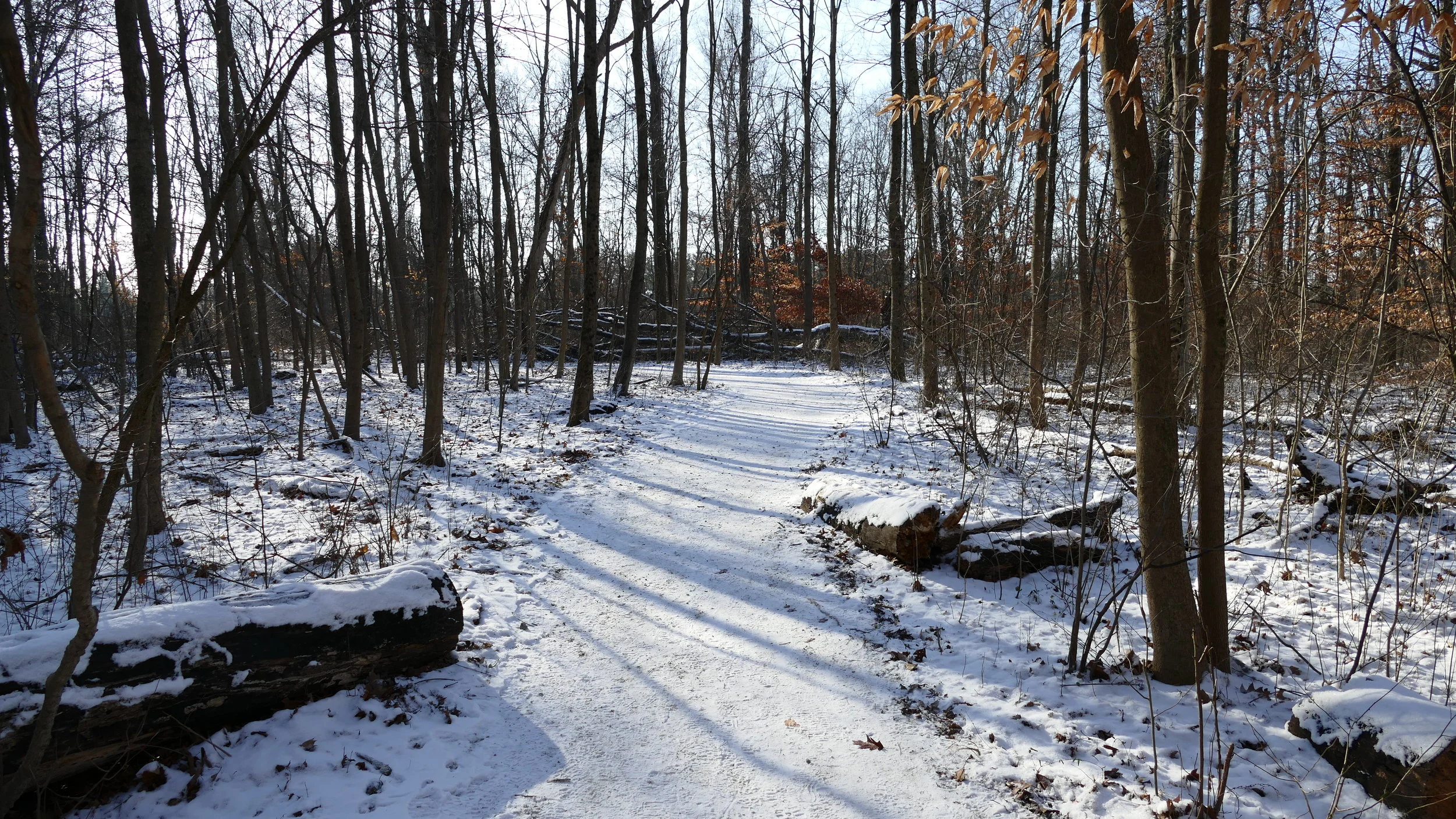 Winter Hike Series: Highbanks 