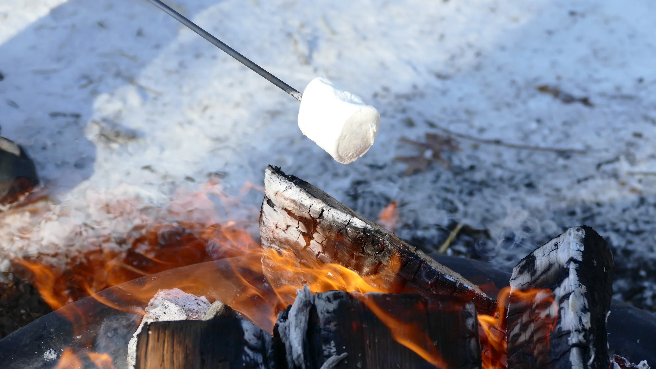 Winter Hike Series: Three Creeks *Dog Friendly*