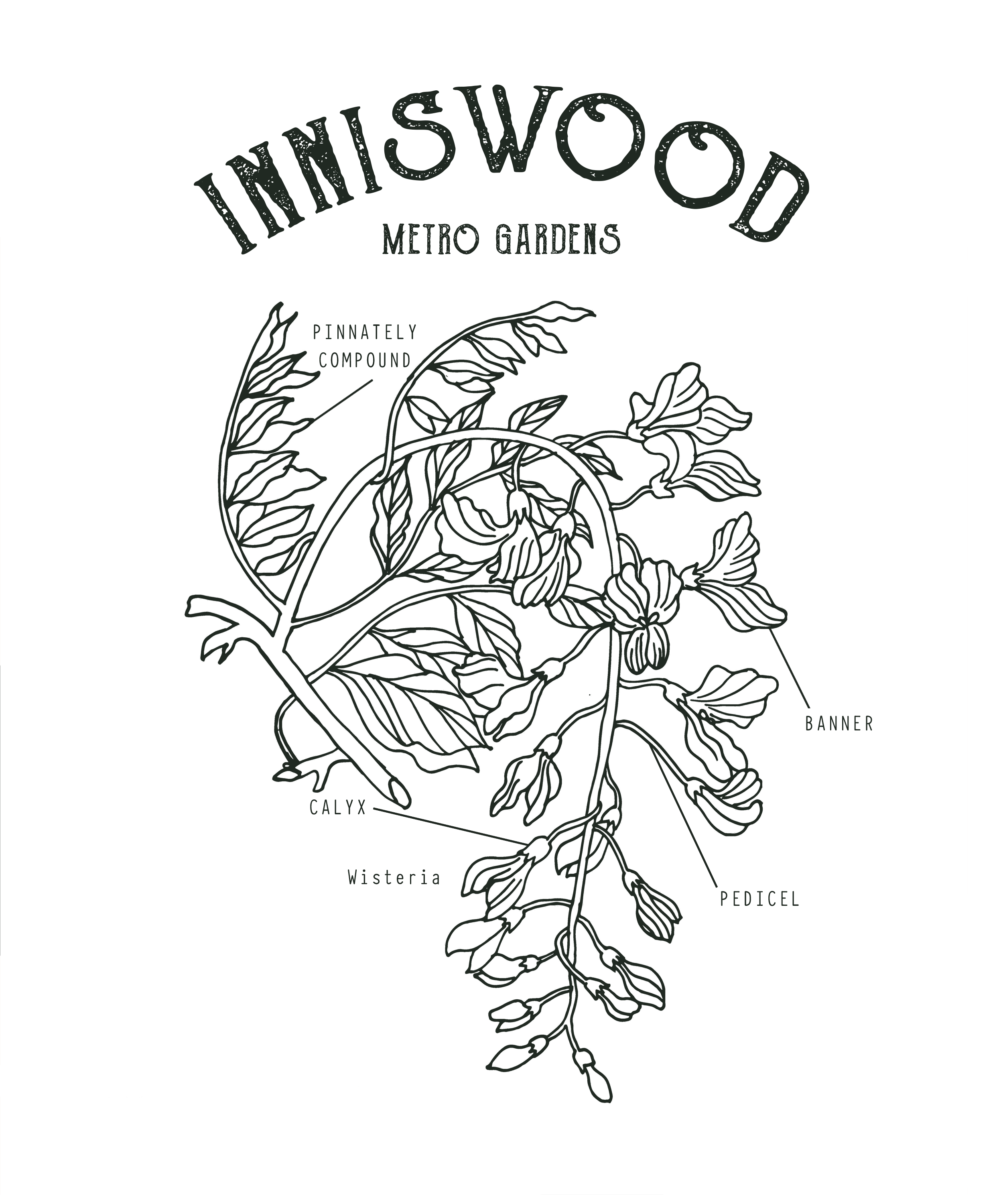 Inniswood_Kruzan_transparent.png