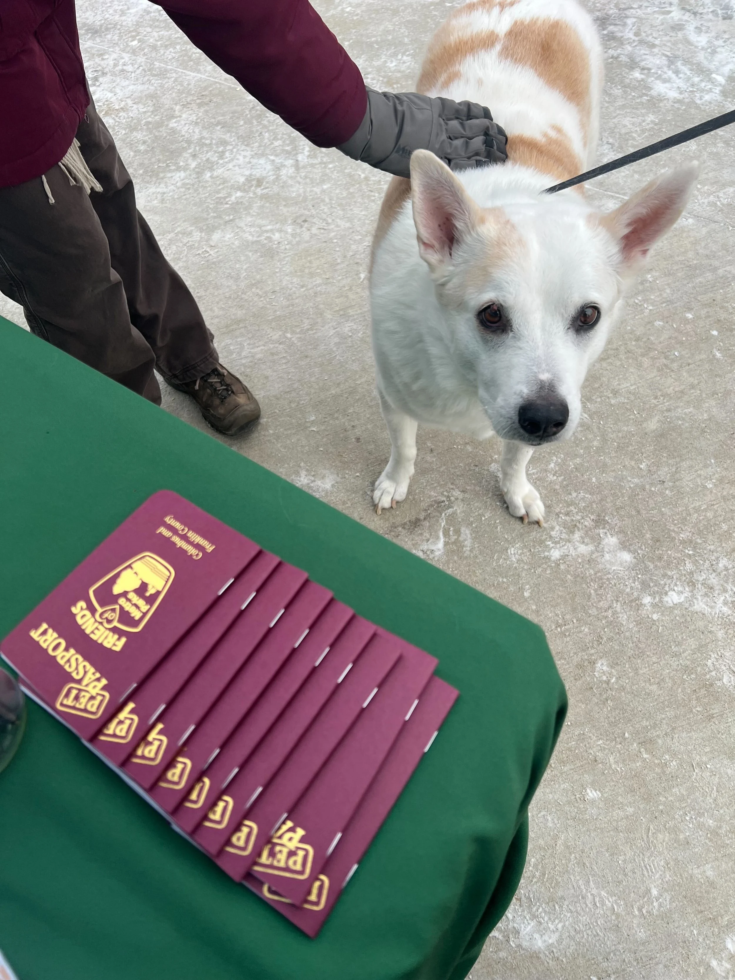Pet Passport Adventures! Rocky Fork