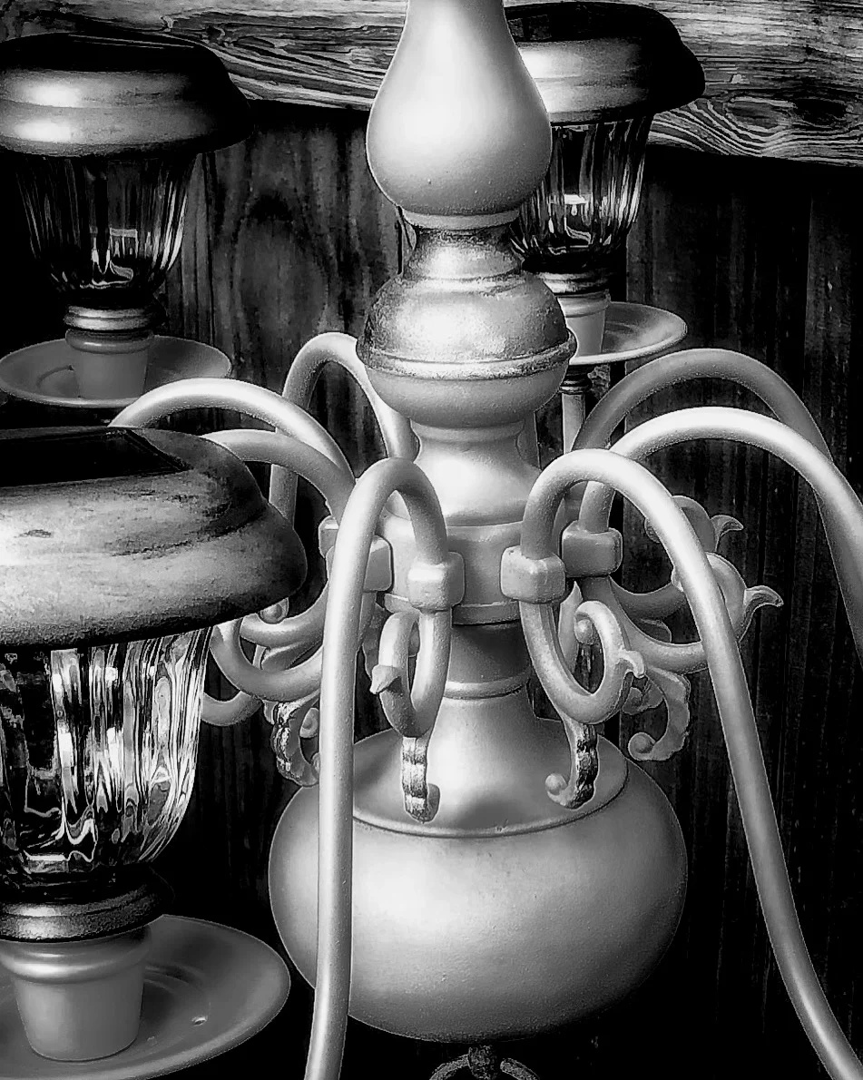 IMG_0137bw.JPG