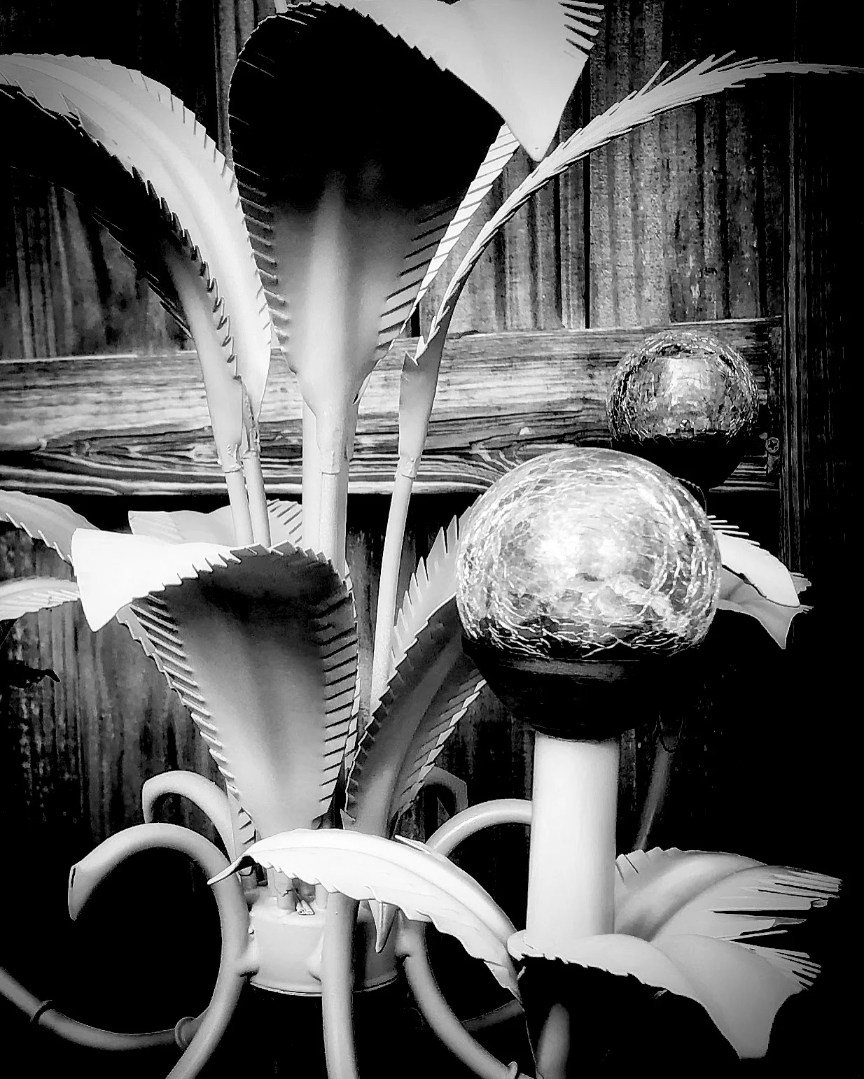 IMG_0138bw.JPG