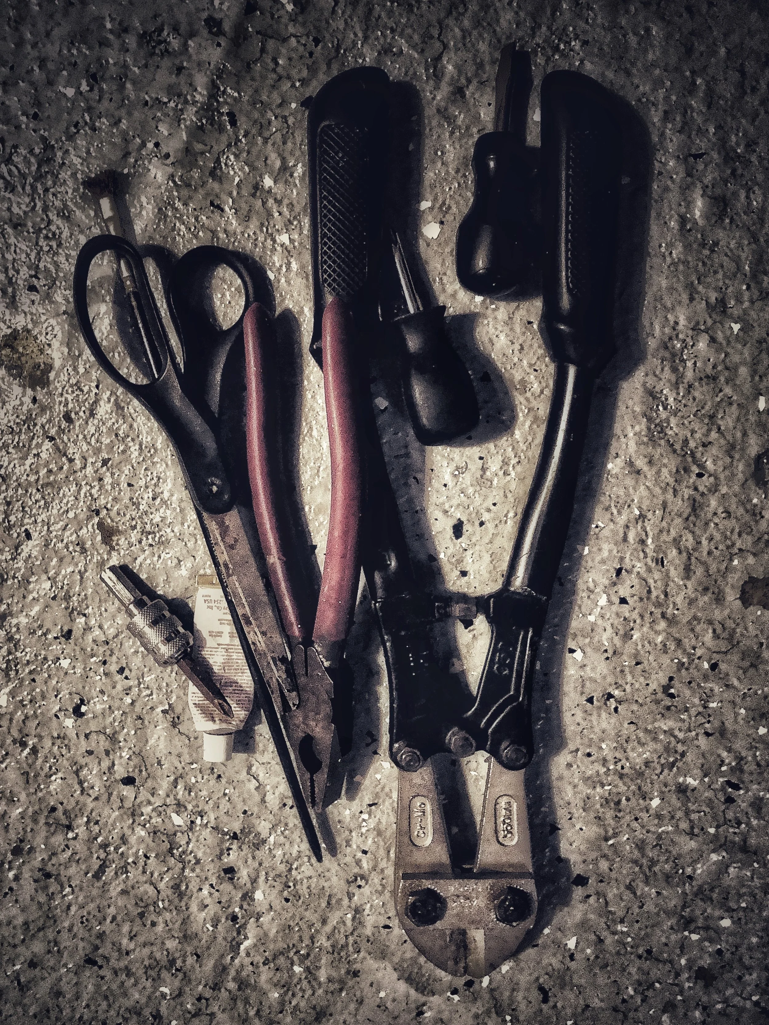 JPEG image-ED7A8F185ABA-1.jpeg
