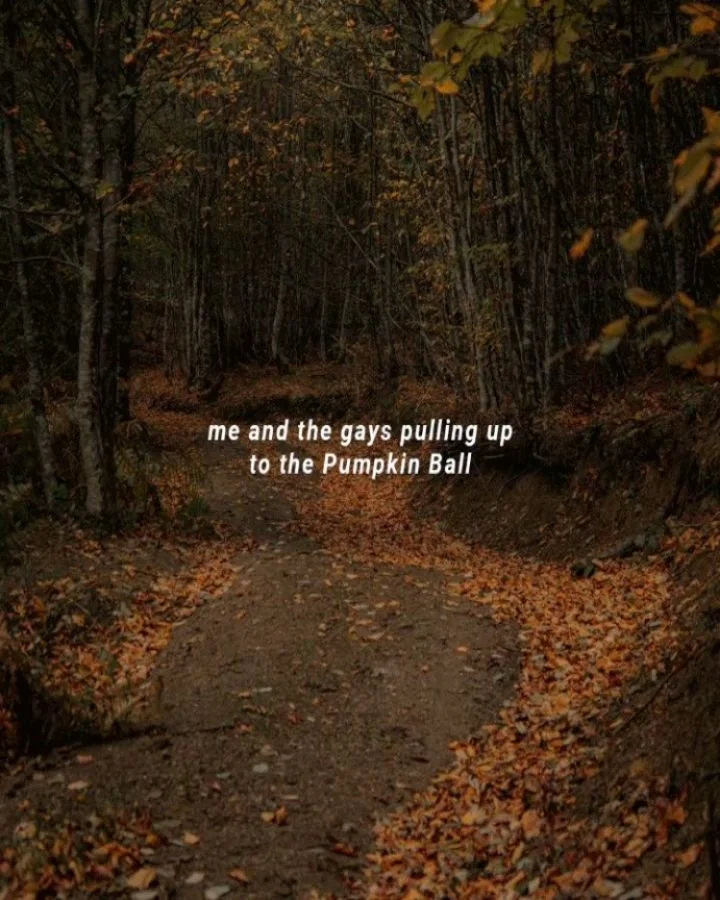 What are you wearing to the Pumpkin Ball? 🎃

📅 Saturday, Nov. 1st at 11am
📍 Sunset Park
🧡 Costumes, kickball, and FREE tie dye!
💀 All are welcome!
💸 $5 for league players | $10 for non-league players. Portion of proceeds go to @thecenterlv

#pu