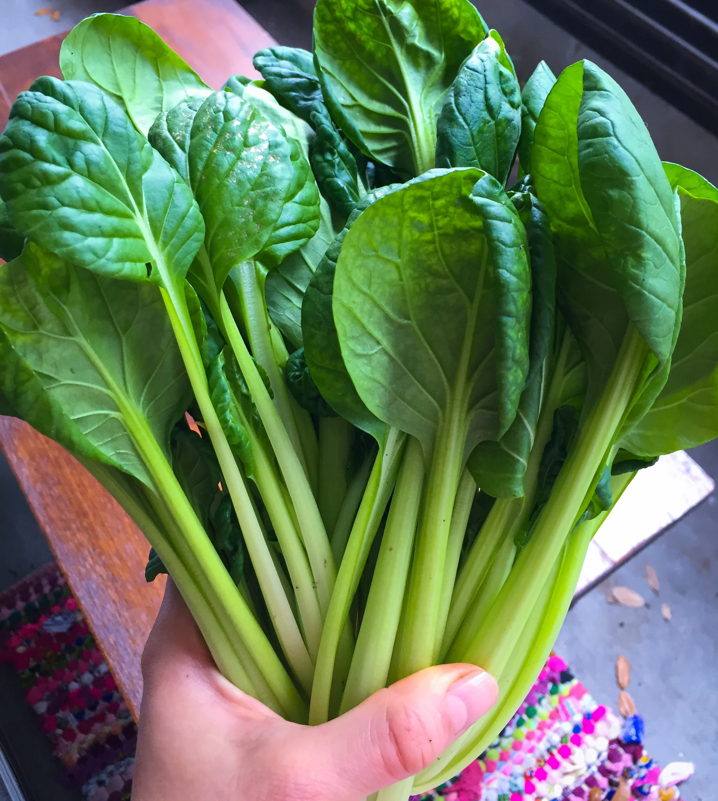 farm finds: tatsoi