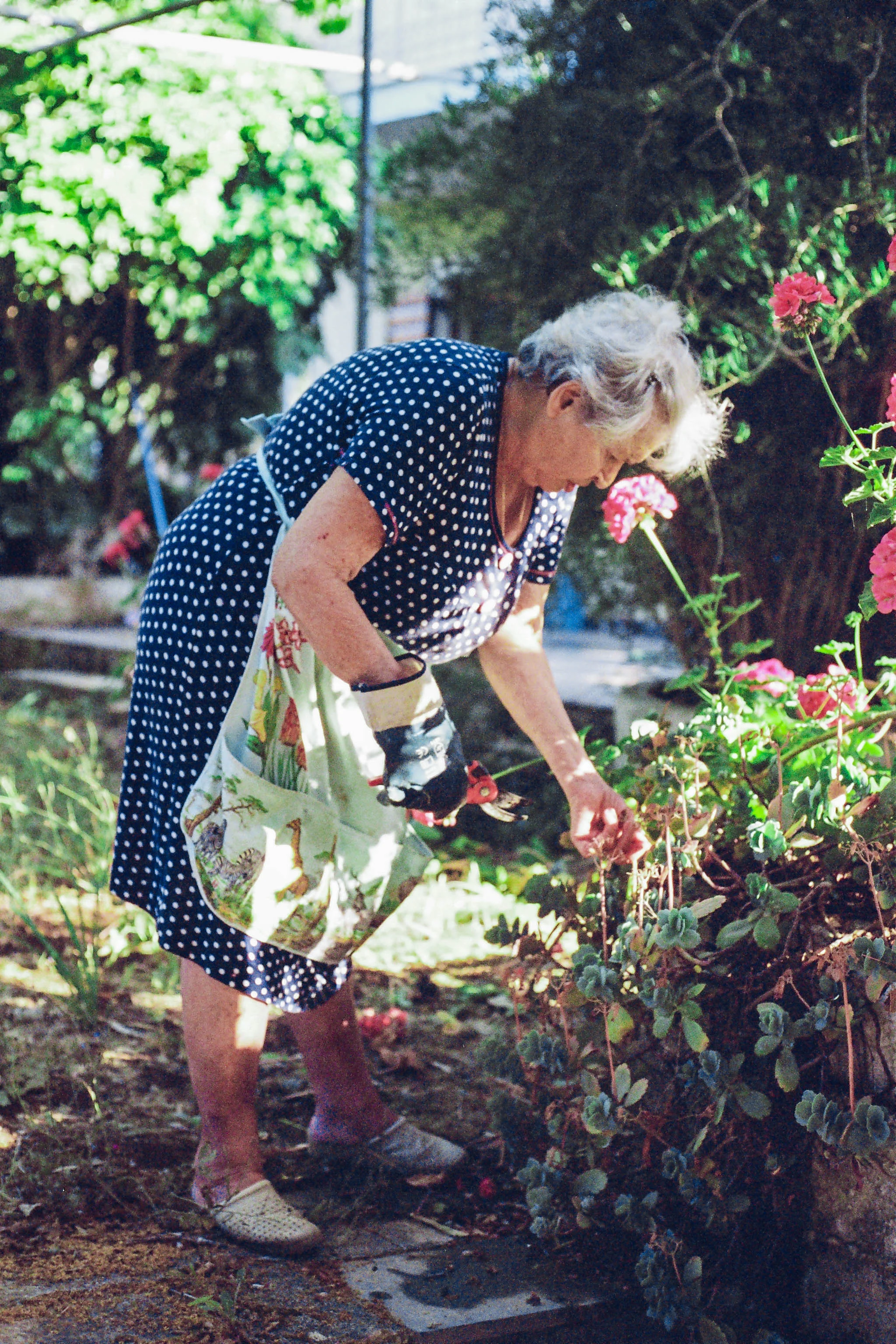 20180623-Nonna 2.jpg