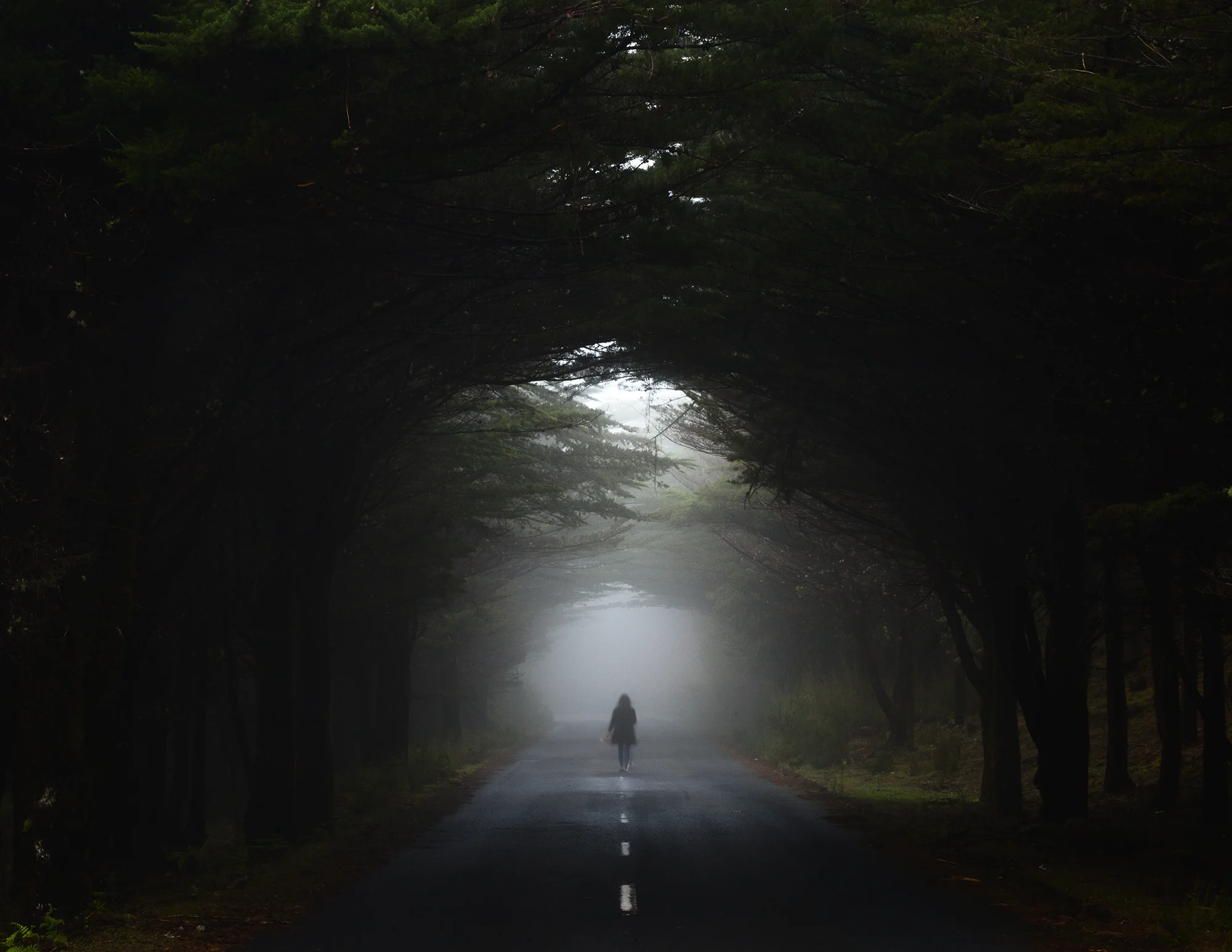 the_paths_we_take_nunoserrao.jpg