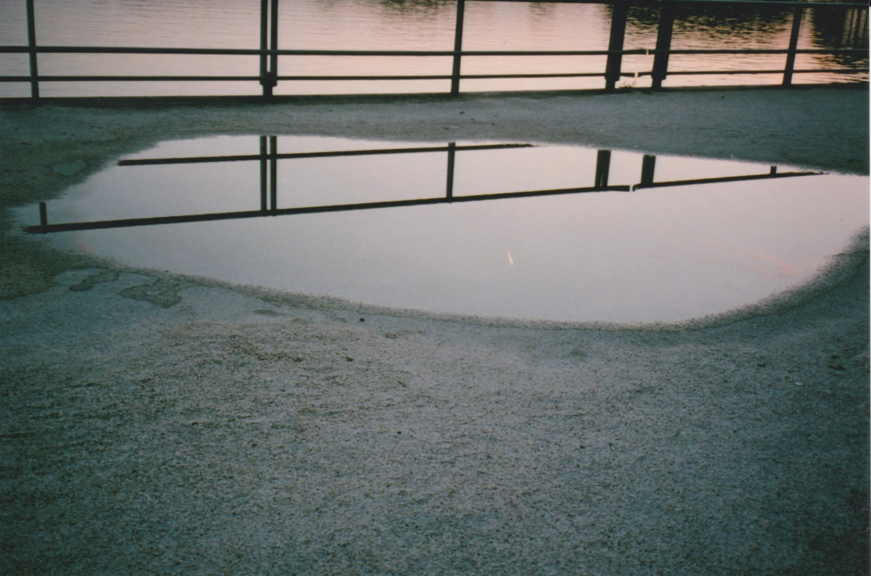 reflectionpink.jpg